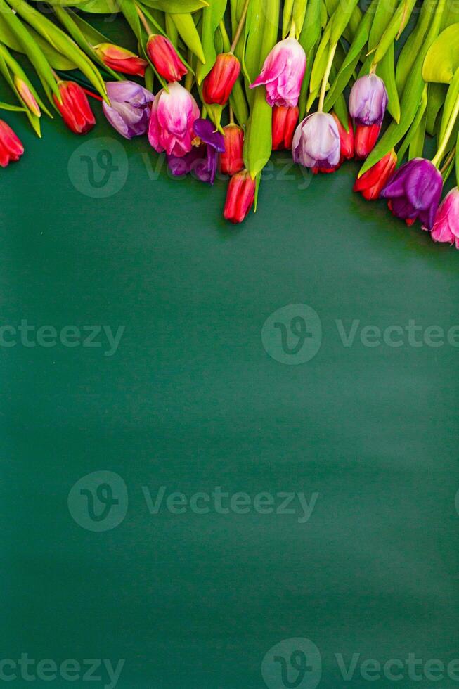 colorful Bouquet tulips on green background. Flat lay, top view, copy space photo