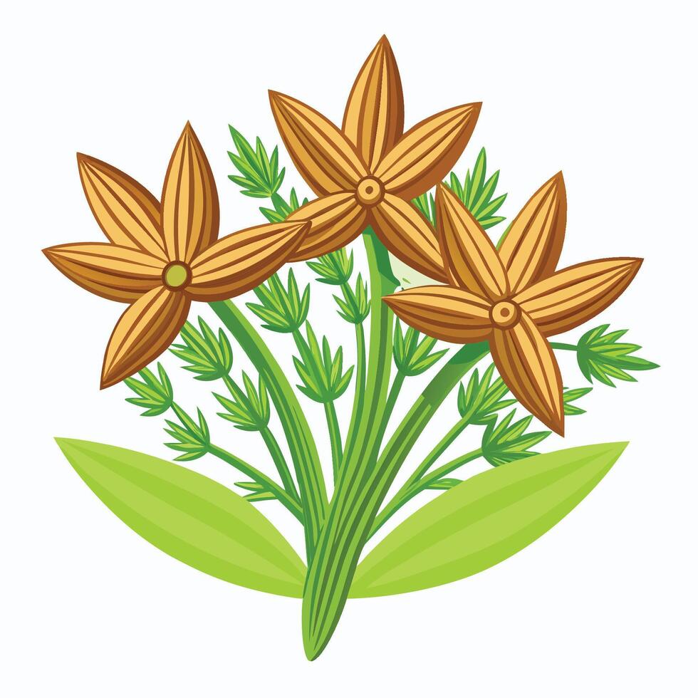 Vibrant Cartoon Style Illustration of Isolated Cumin vector
