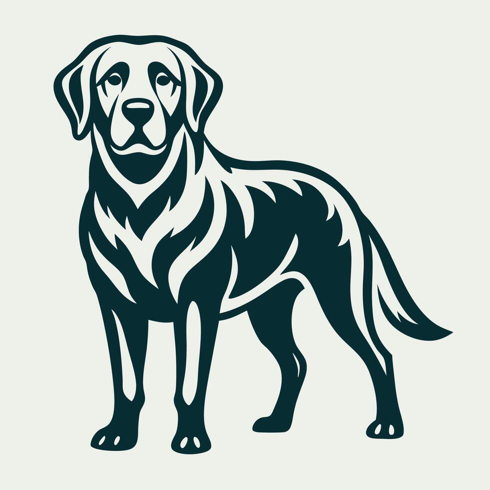 Dignified Labrador Retriever Standing with Composed Demeanor vector