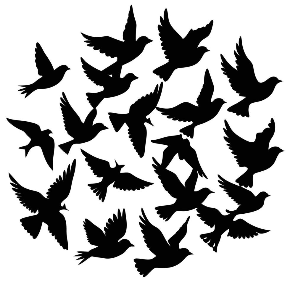 Silhouettes of Majestic Birds Soaring Through the Transparent Azure Sky vector