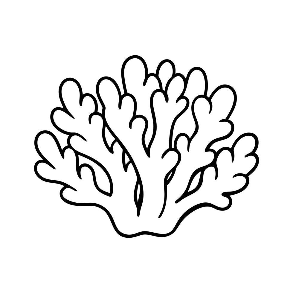 Beautiful coral with white background. vector