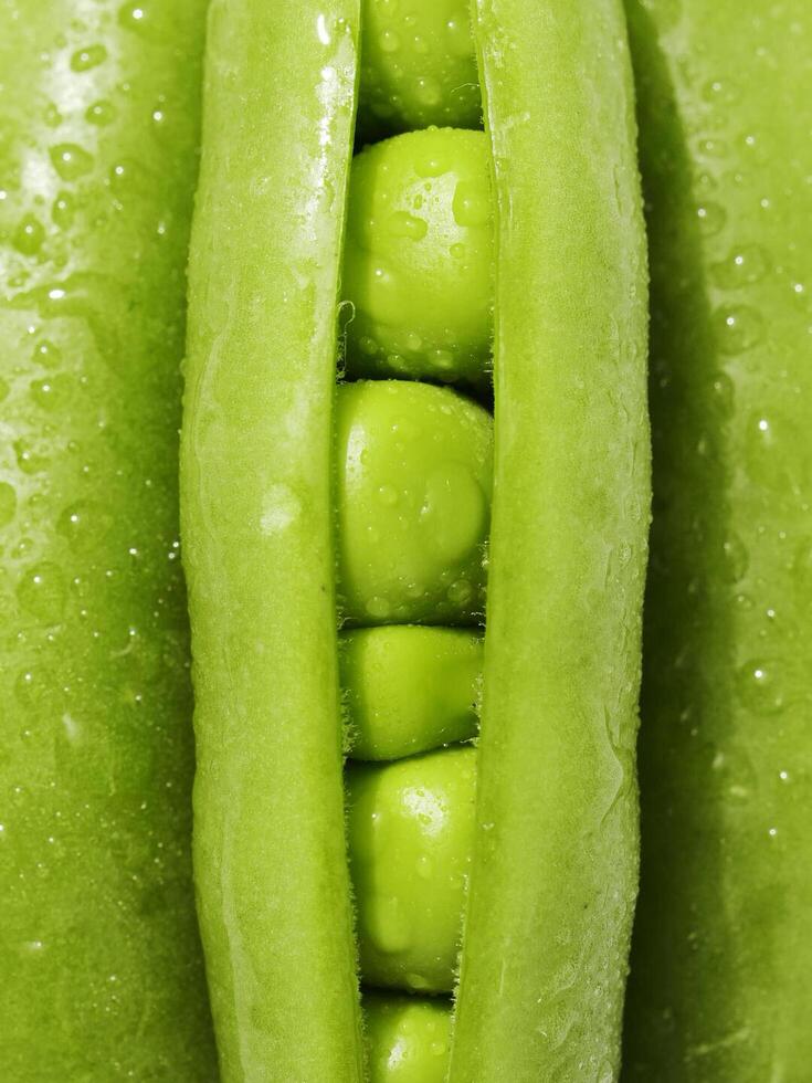 close-up view of a bunch of green beans. These vegetables are part of the legume family and can be categorized as produce, specifically snap peas and snow peas photo