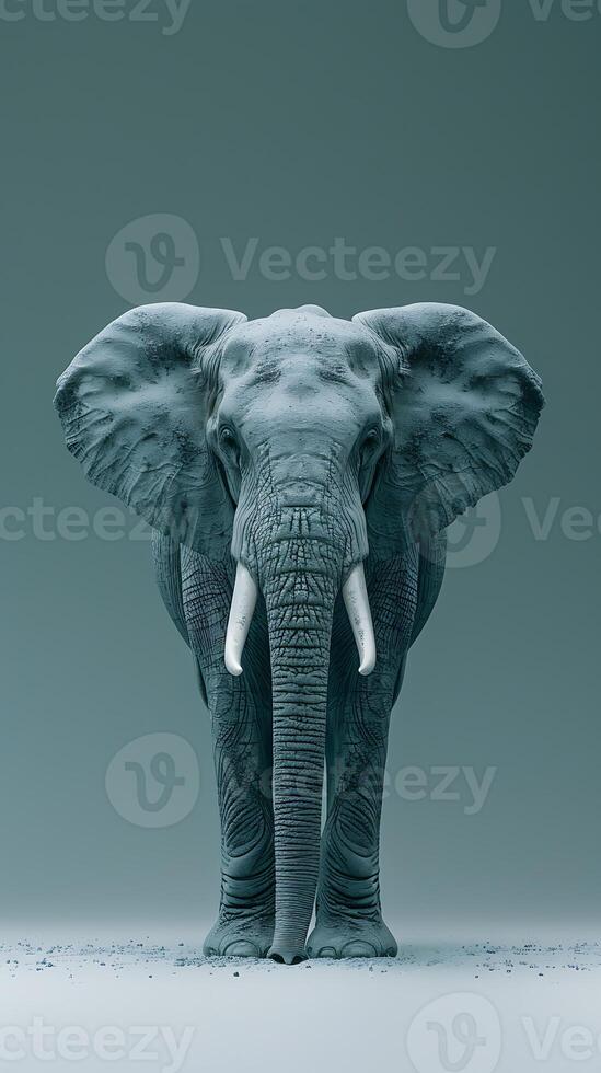 An elephant standing in front of a gray background photo