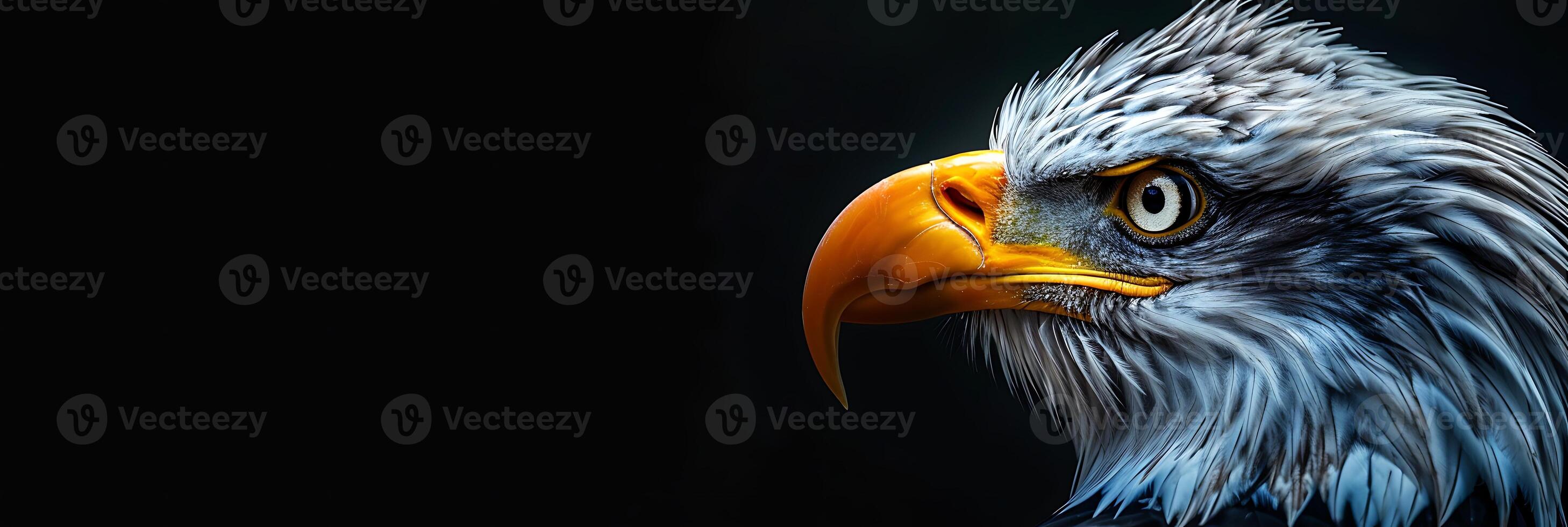 An eagle with a yellow beak and orange beak photo