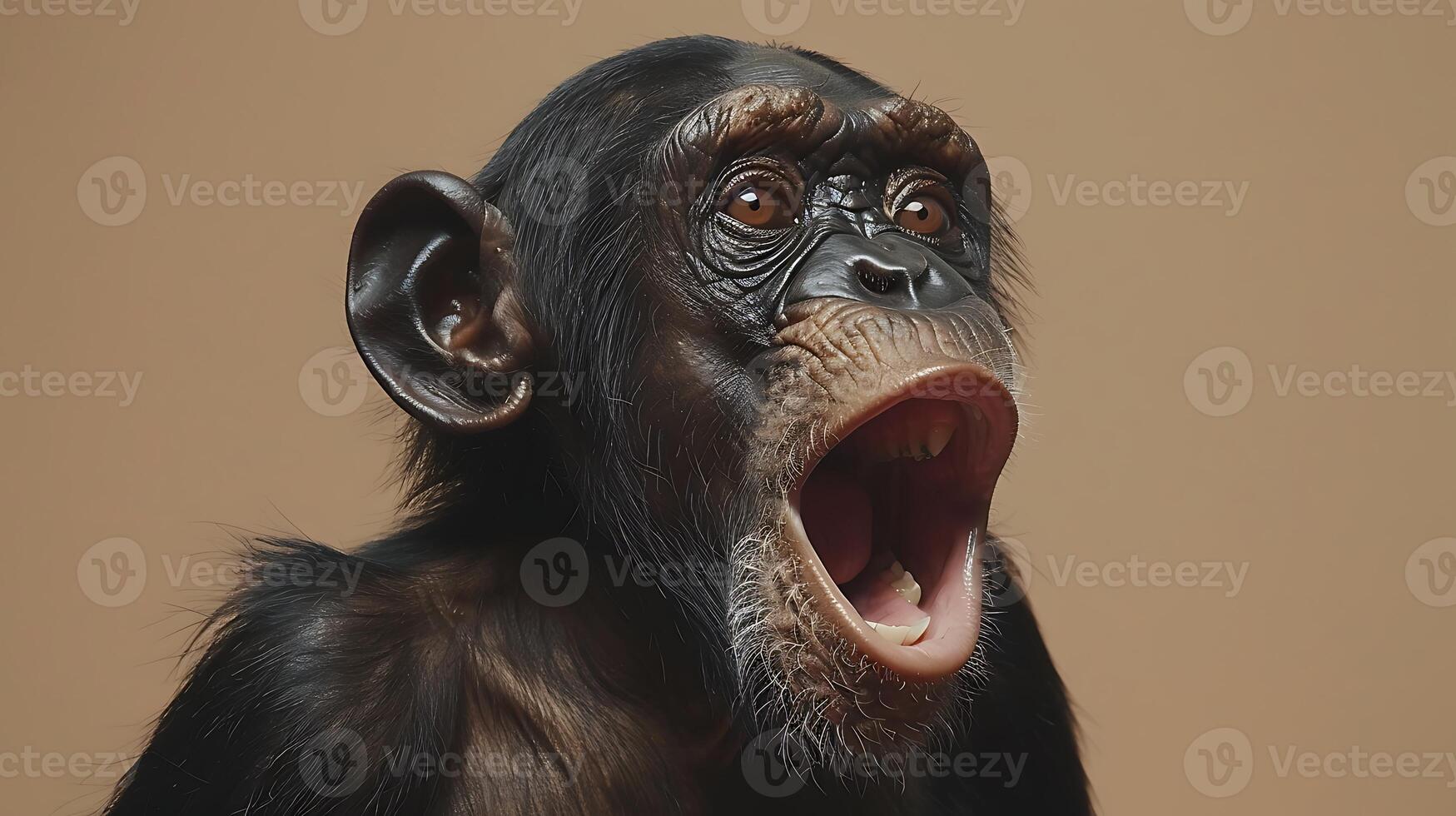 A chimpanzee with its mouth open and its mouth wide open photo