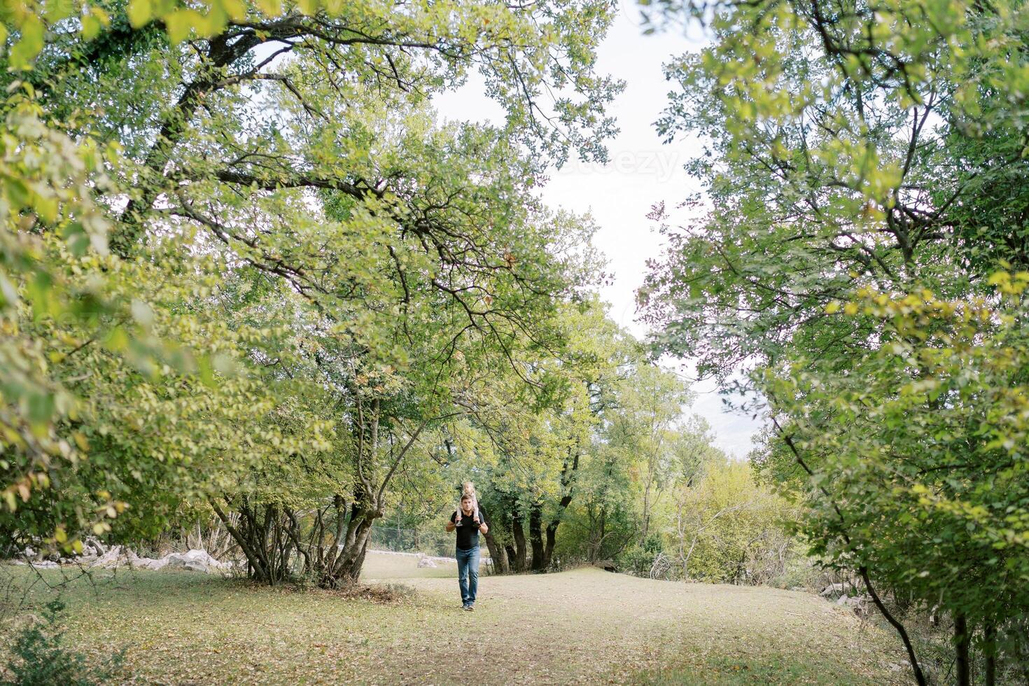 Dad with a little girl on his shoulders walks along the lawn in a green park photo