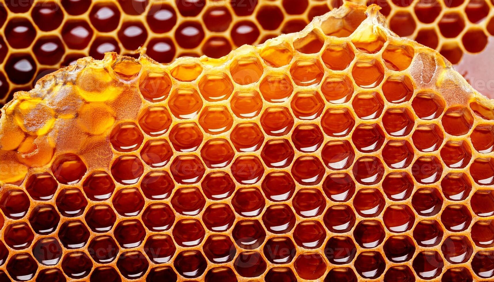 Honeycomb Structure Showcasing Natural Honey With Rich Amber Colors and Intricate Hexagonal Patterns Under Soft Lighting photo