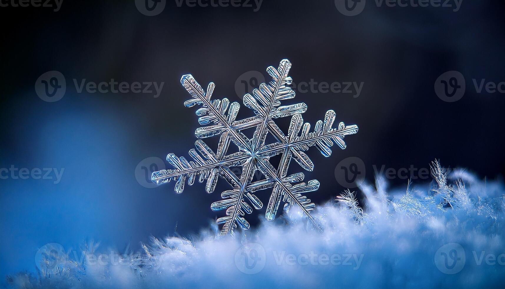 Unique Snowflake Crystal Perched Delicately on Frosty Surface in Cold Winter Landscape photo