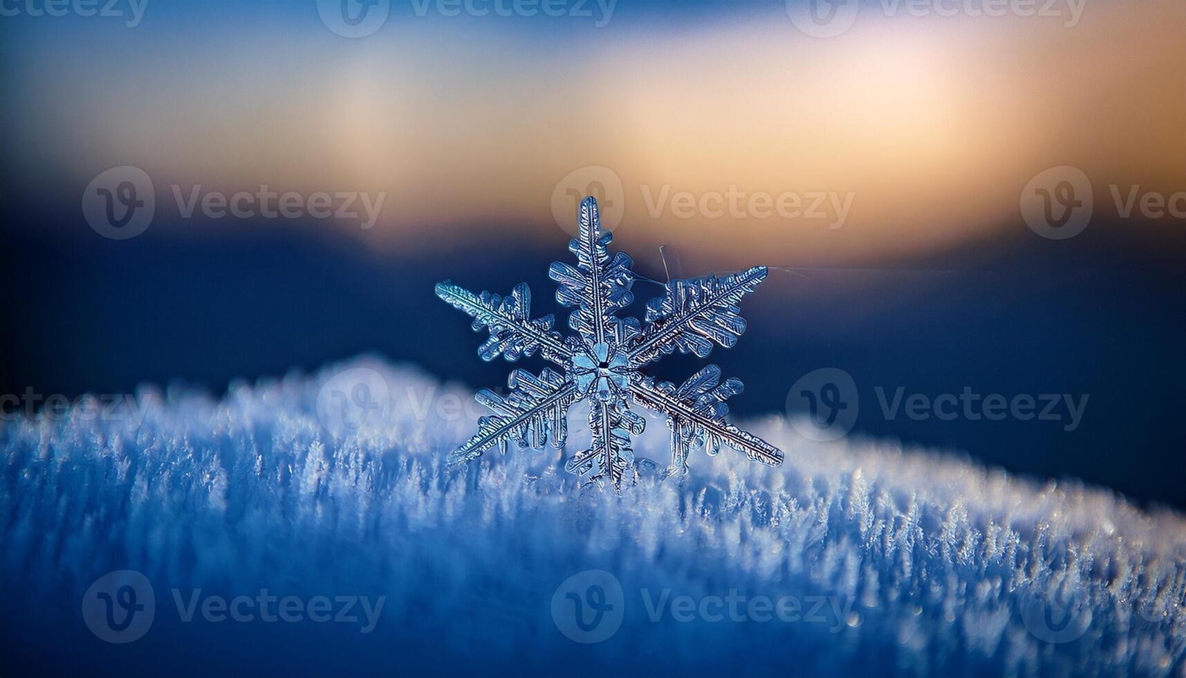 Unique Snowflake Rests on Frosty Surface Highlighting Intricate Details During Winter Twilight photo