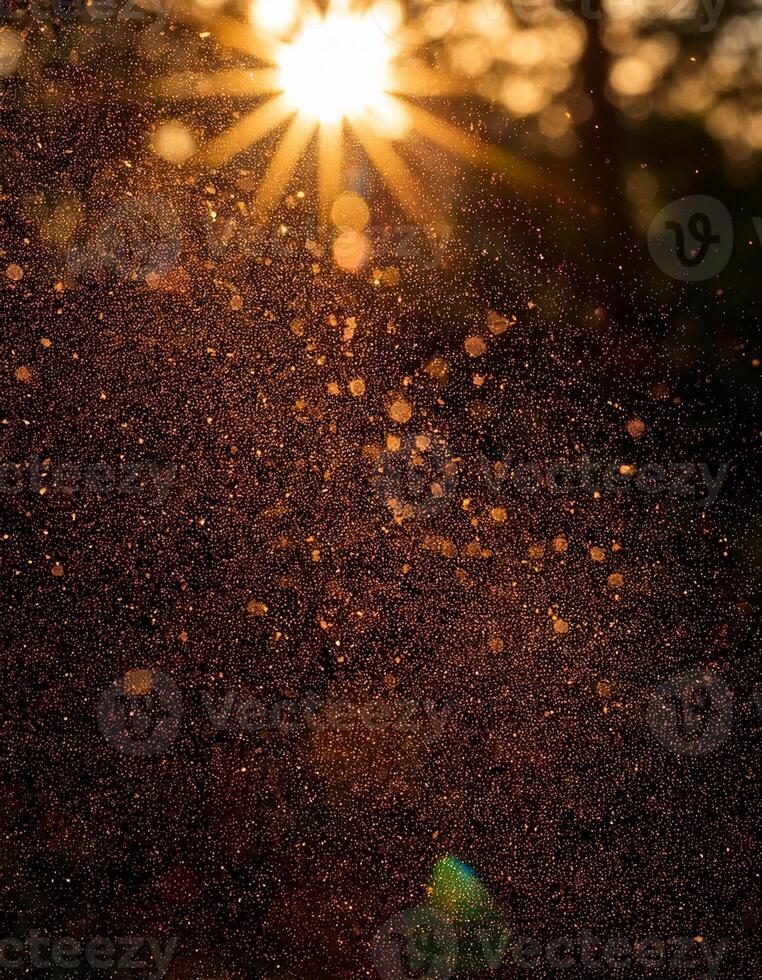 Sunlight Filtering Through Dust Particles Creates a Beautiful Ambiance in a Forest at Sunset photo