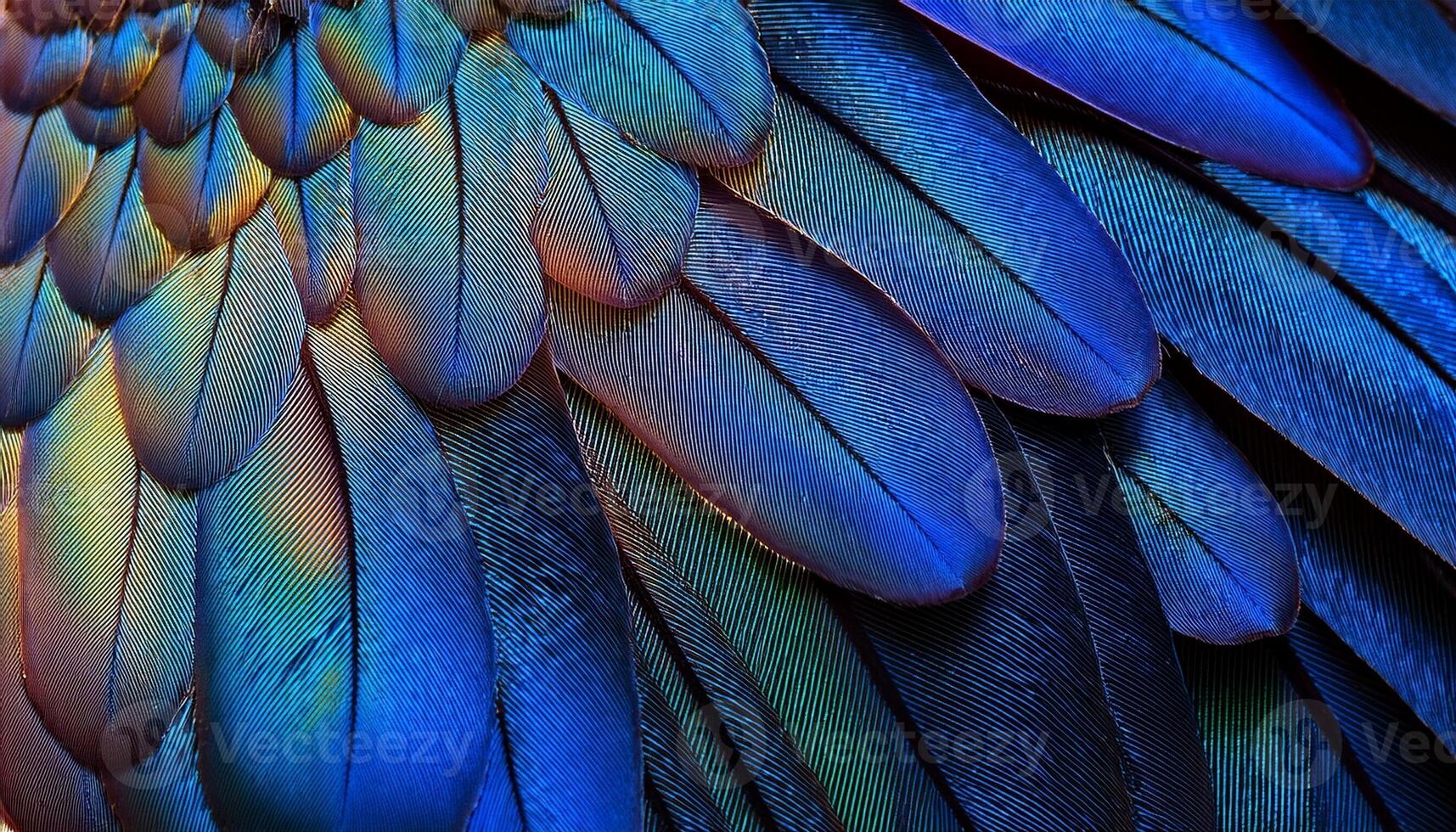 Colorful Feathers Showcase Intricate Patterns and Vibrant Hues Found in Tropical Birds During Daylight Hours photo