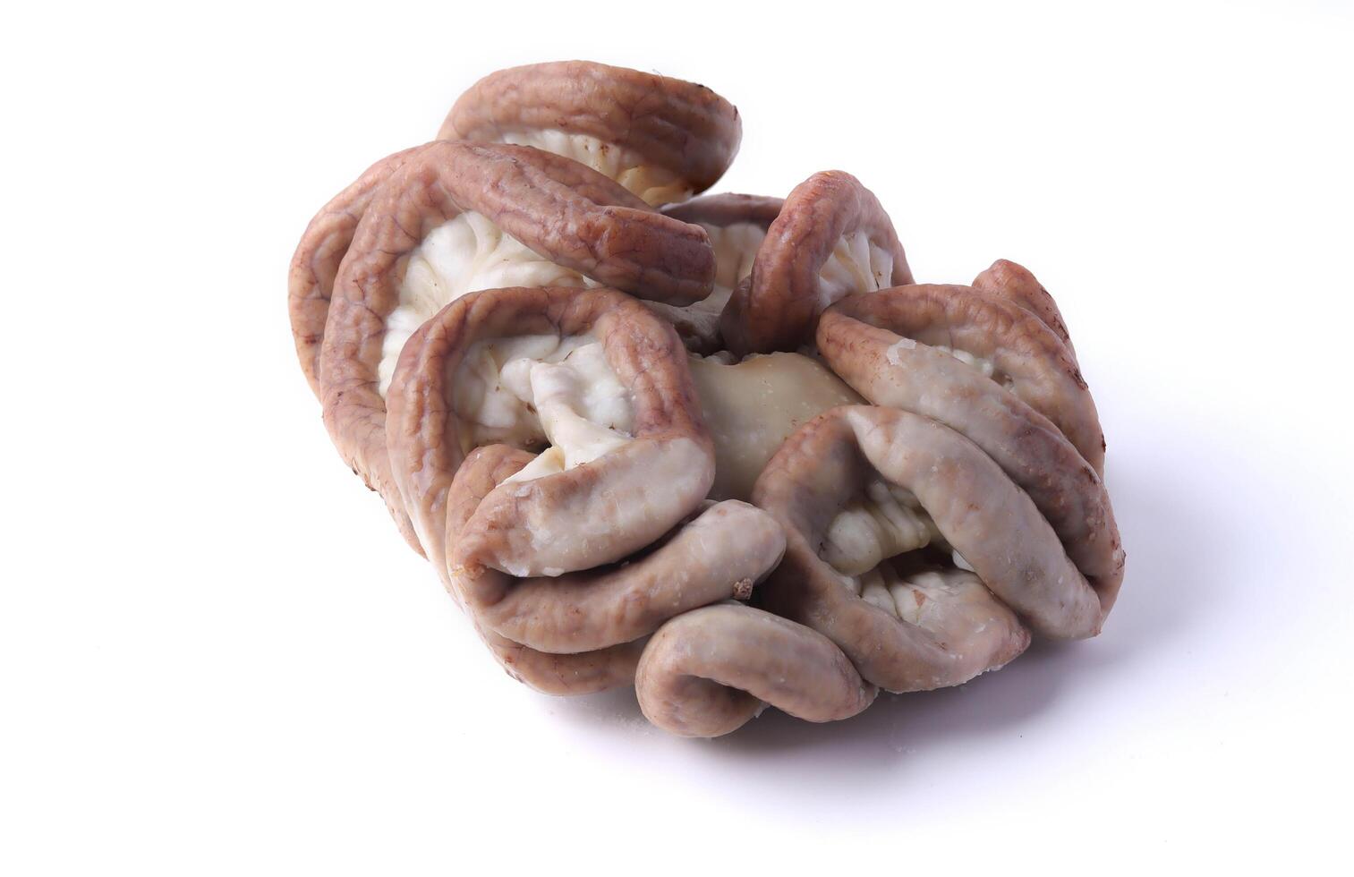 bundle of raw pig intestines is displayed against white background, showcasing their natural texture and color. intestines are coiled and appear fresh, ready for culinary preparation photo
