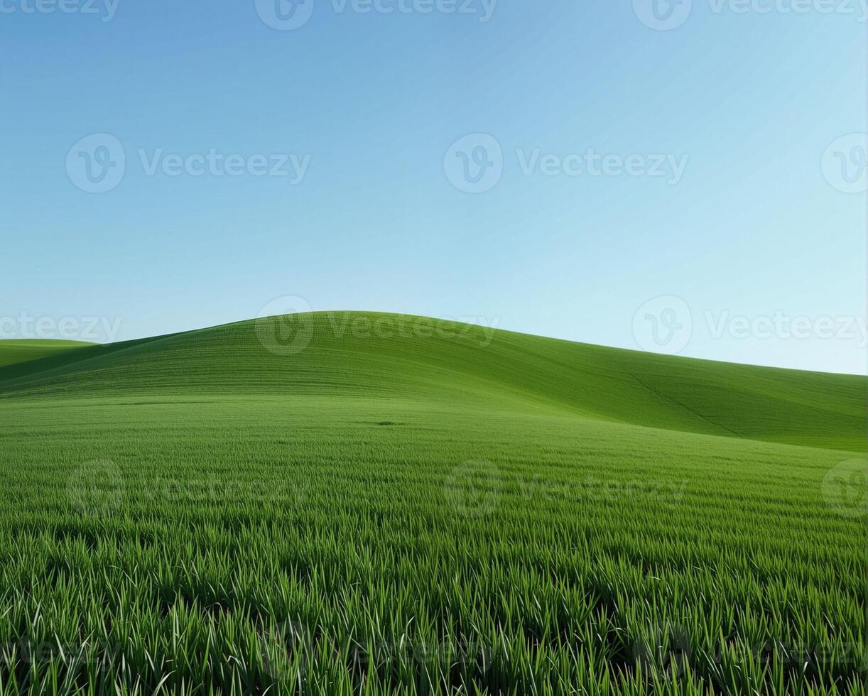 Lush Green Rolling Hills Under Clear Blue Sky on Sunny Day photo