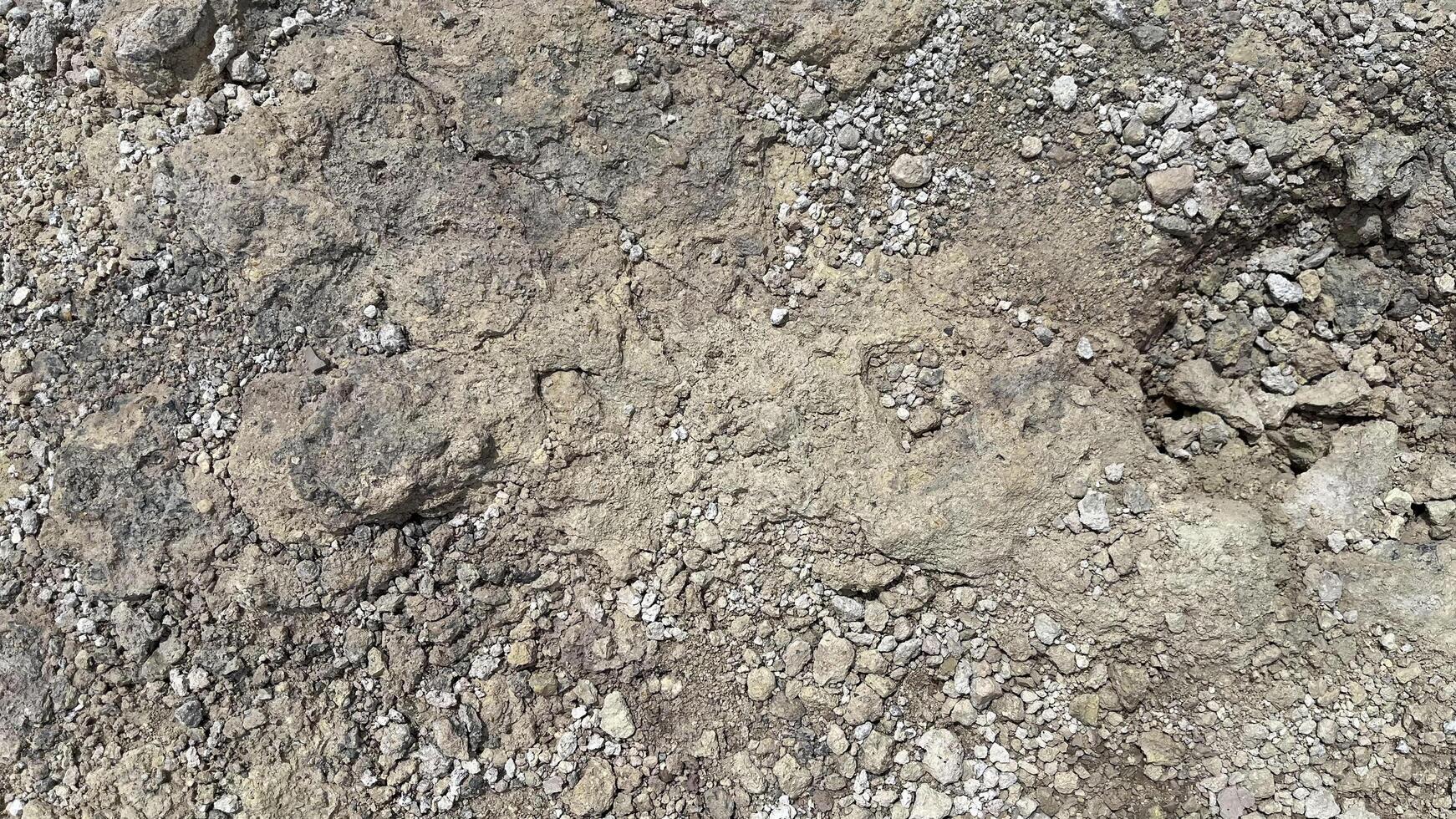 Closeup small stone background. Natural background, cast gravel and sand texture. Ground level view. photo