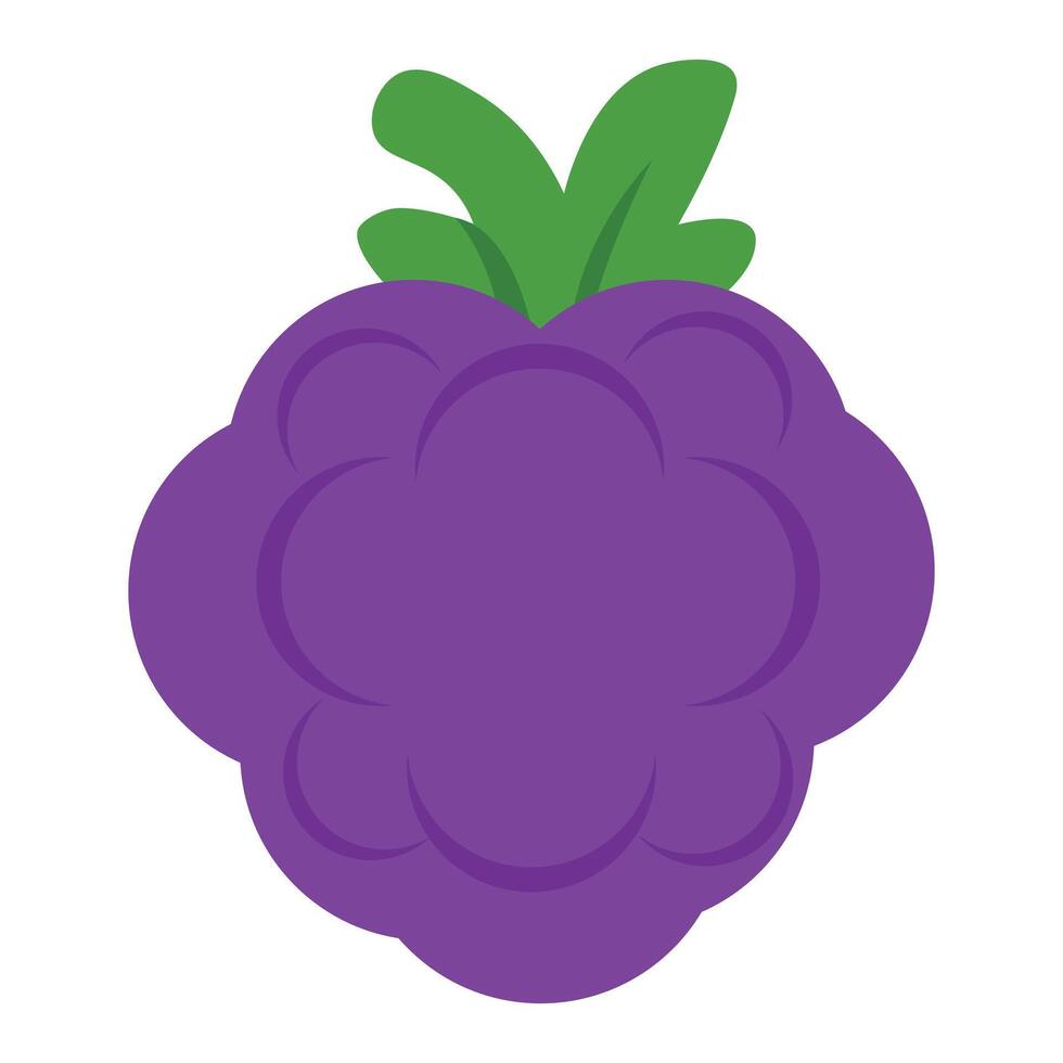 Purple grape fruit with green leaves in flat style, ideal for healthy food design vector