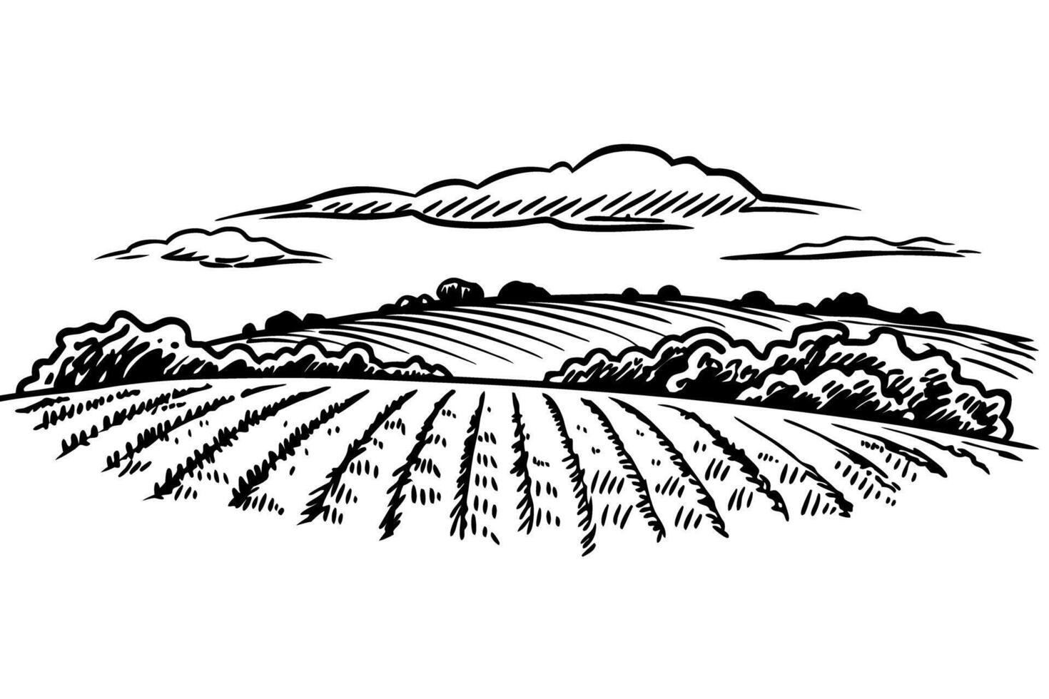 scenic rural landscape illustration with rolling fields and cloudy sky, classic countryside view vector