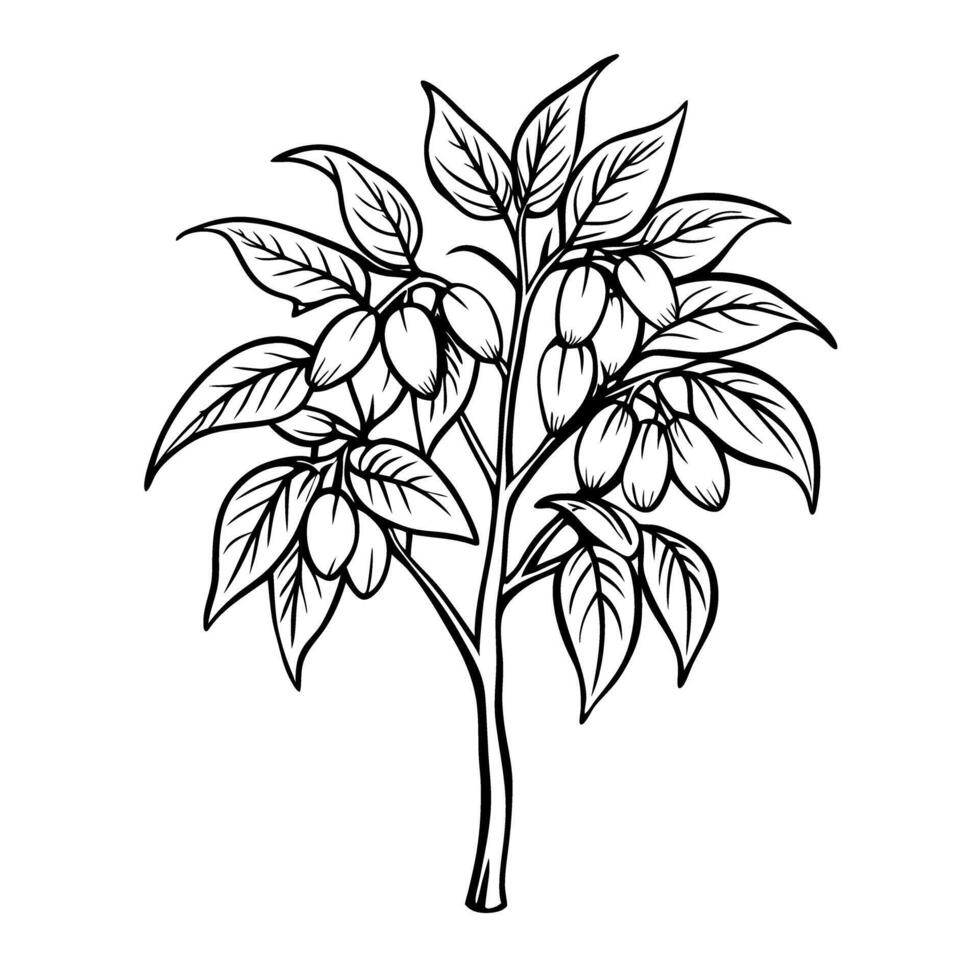 Outlined illustration of berry plant with clusters of fruit and leaves vector