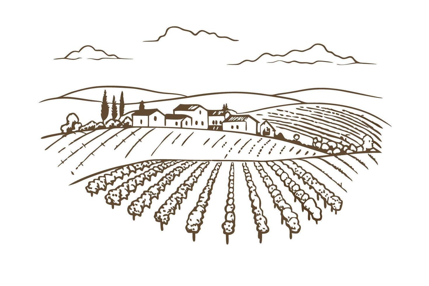 Rustic vineyard landscape with hills and village, line art drawing vector