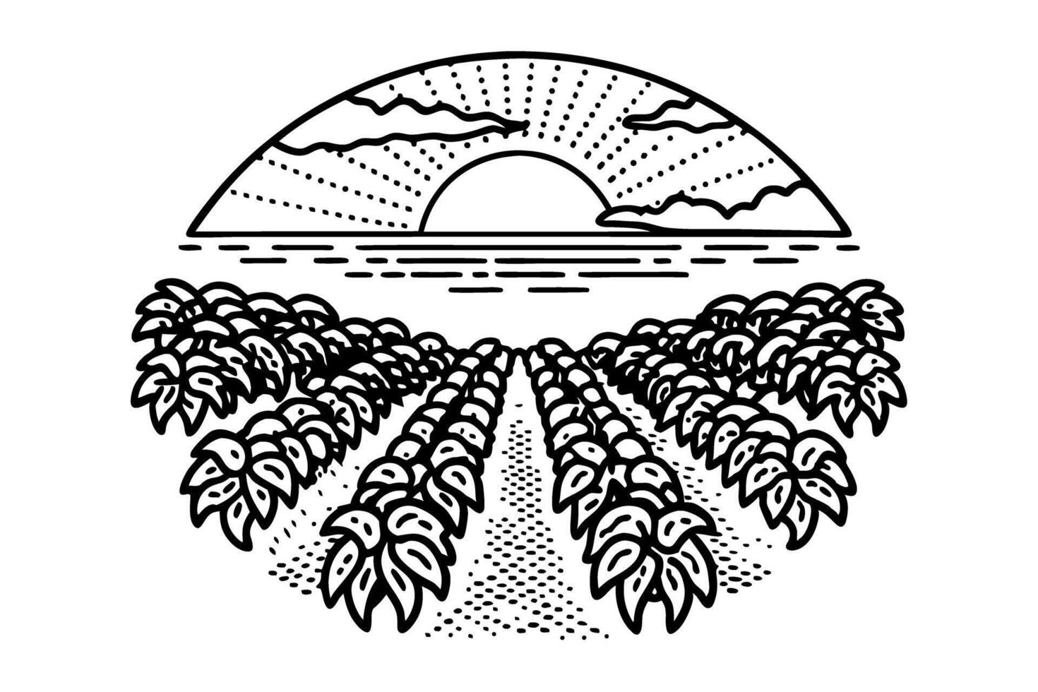 sunset over lush field rows nature's tranquility in black and white vector