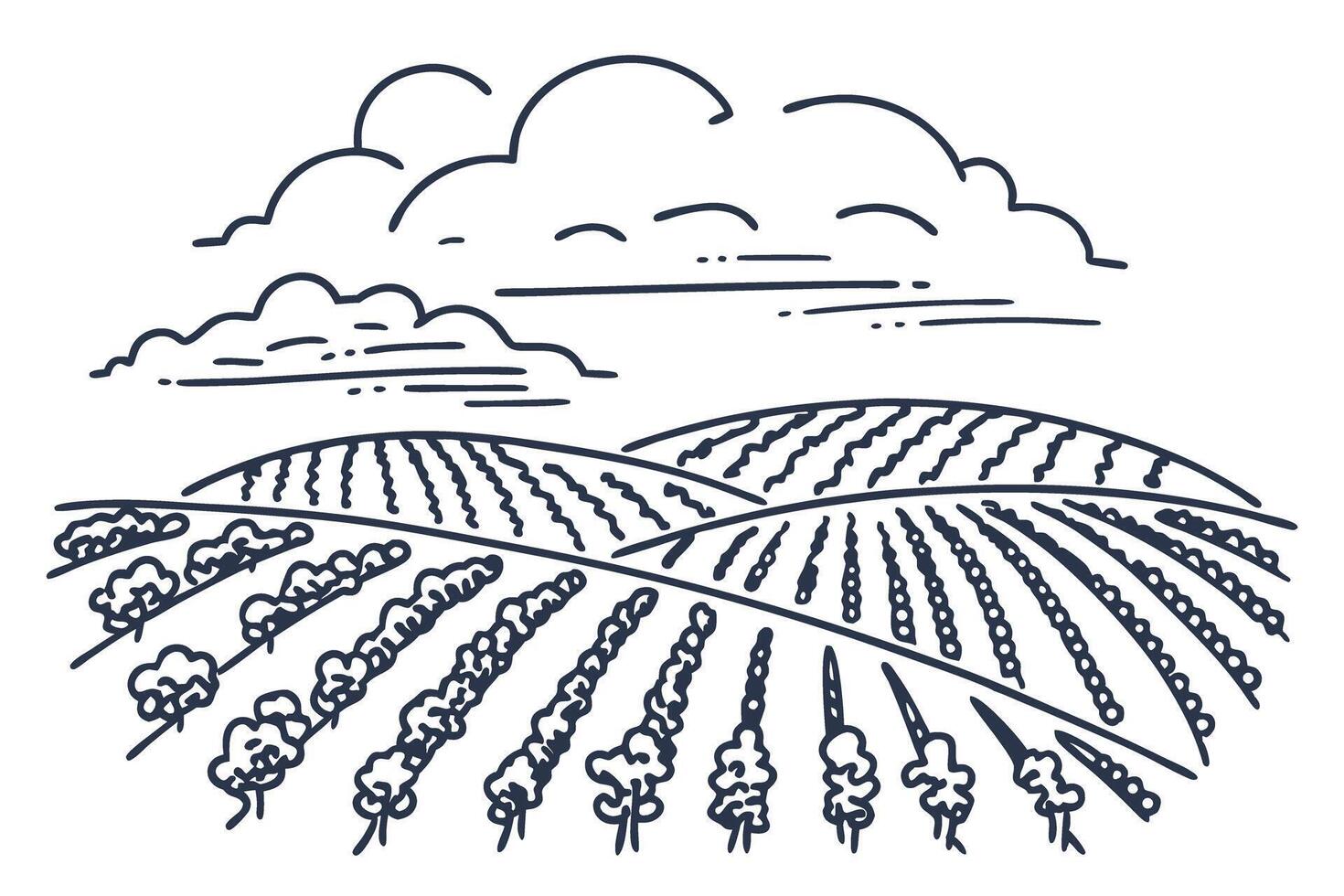 Illustrated vineyard landscape with rolling hills and clouds, black and white line art vector