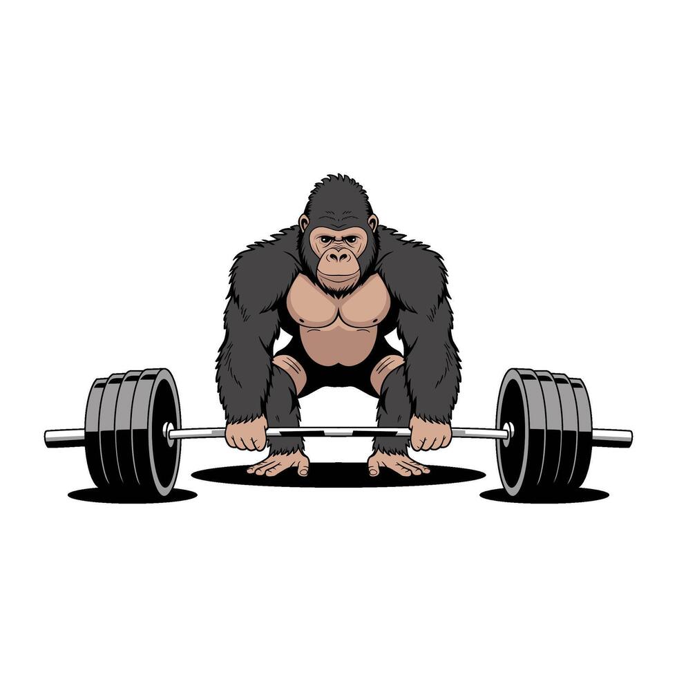Illustration of a muscular gorilla performing a deadlift with a heavy barbell vector