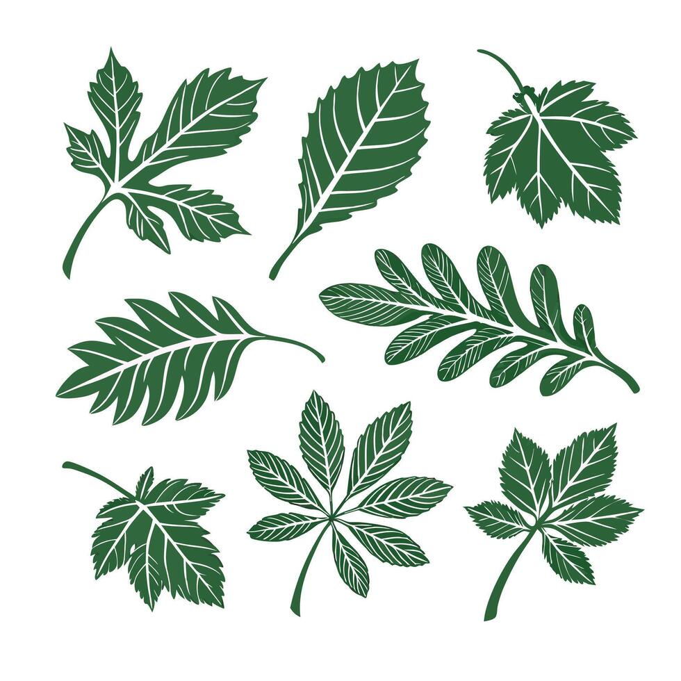 Set of green leave vector