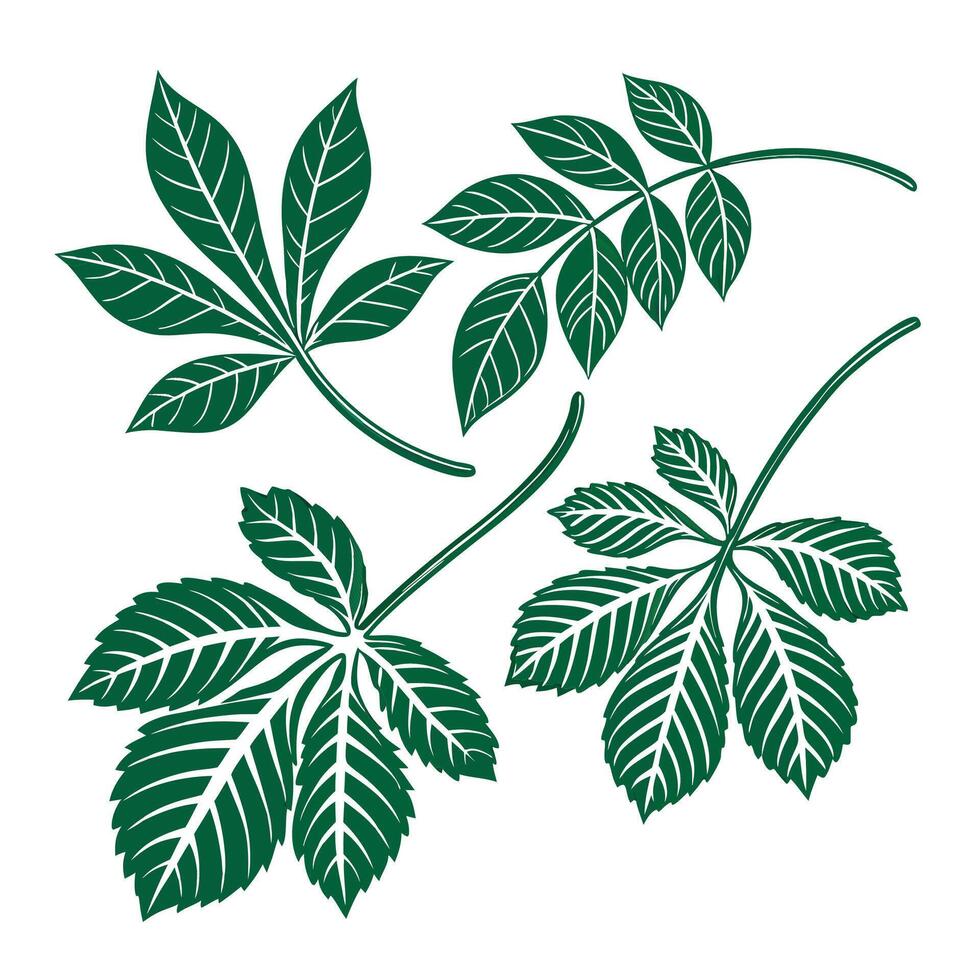Green leaves isolated on white background vector