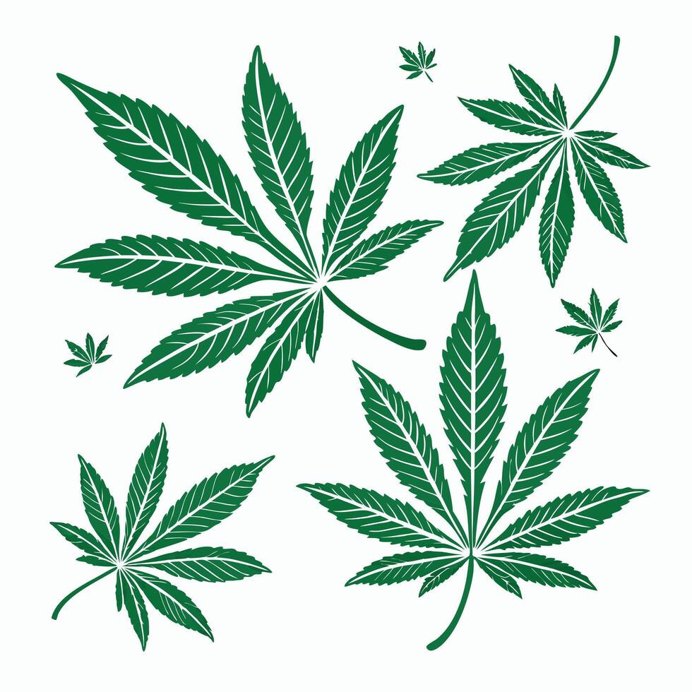 Set of green leaf vector