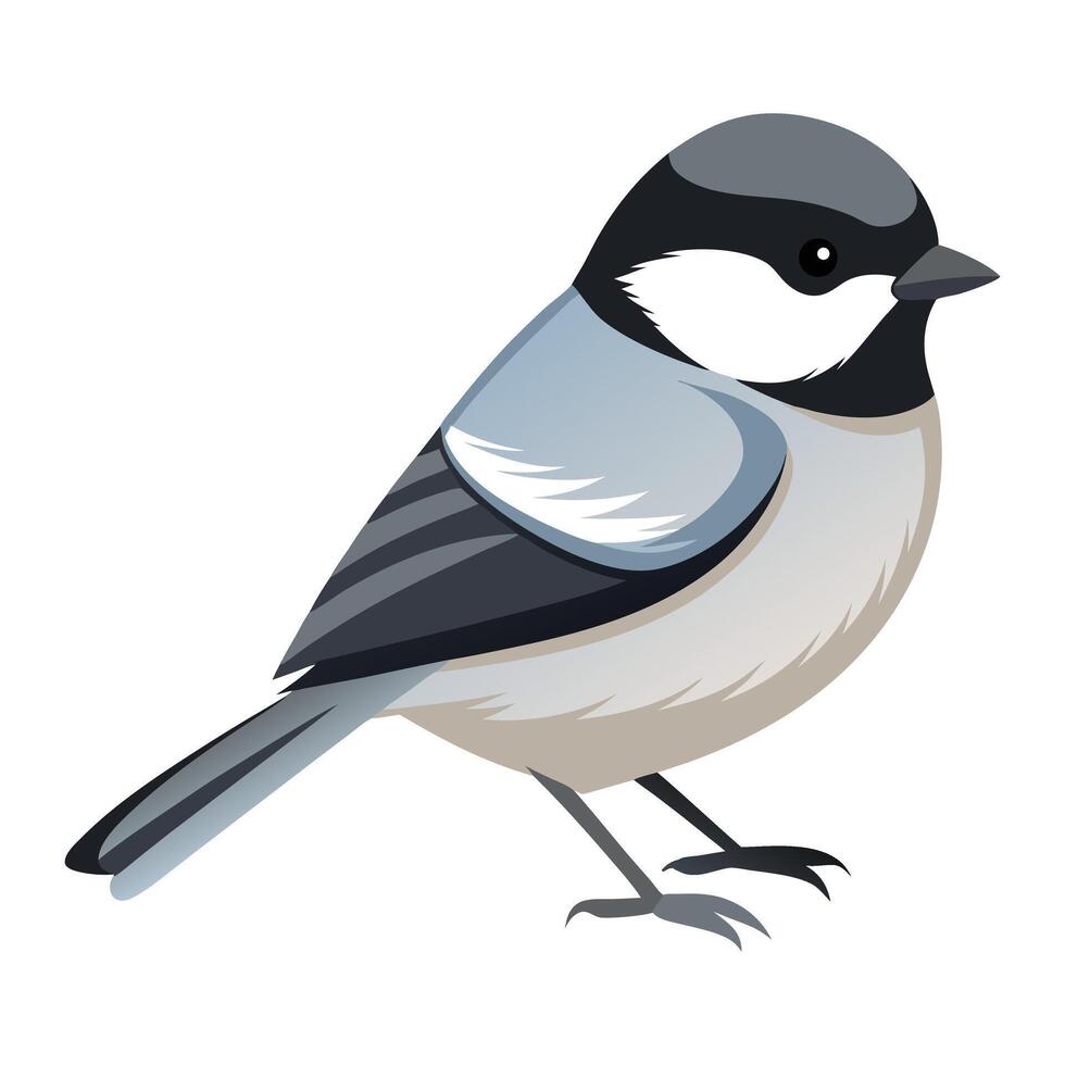 a bird with a black and white head and a gray body vector