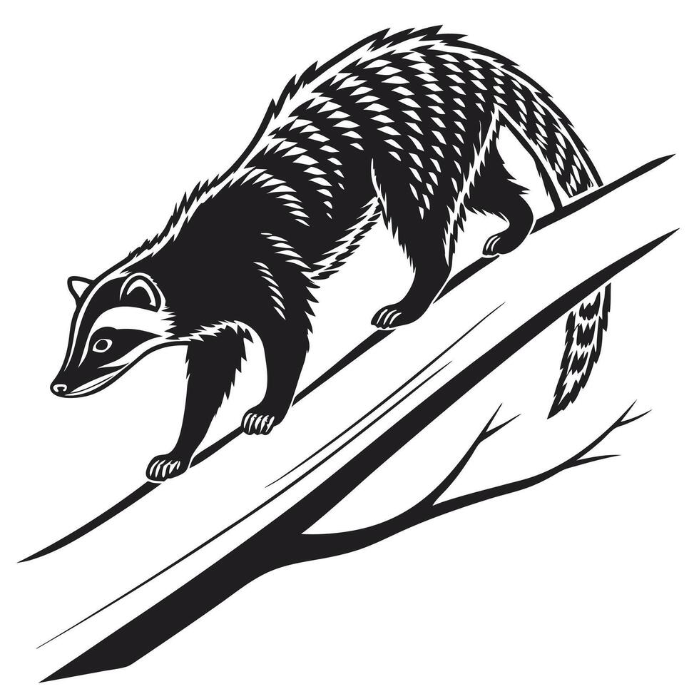 Black And White Civet Climbing Tree vector
