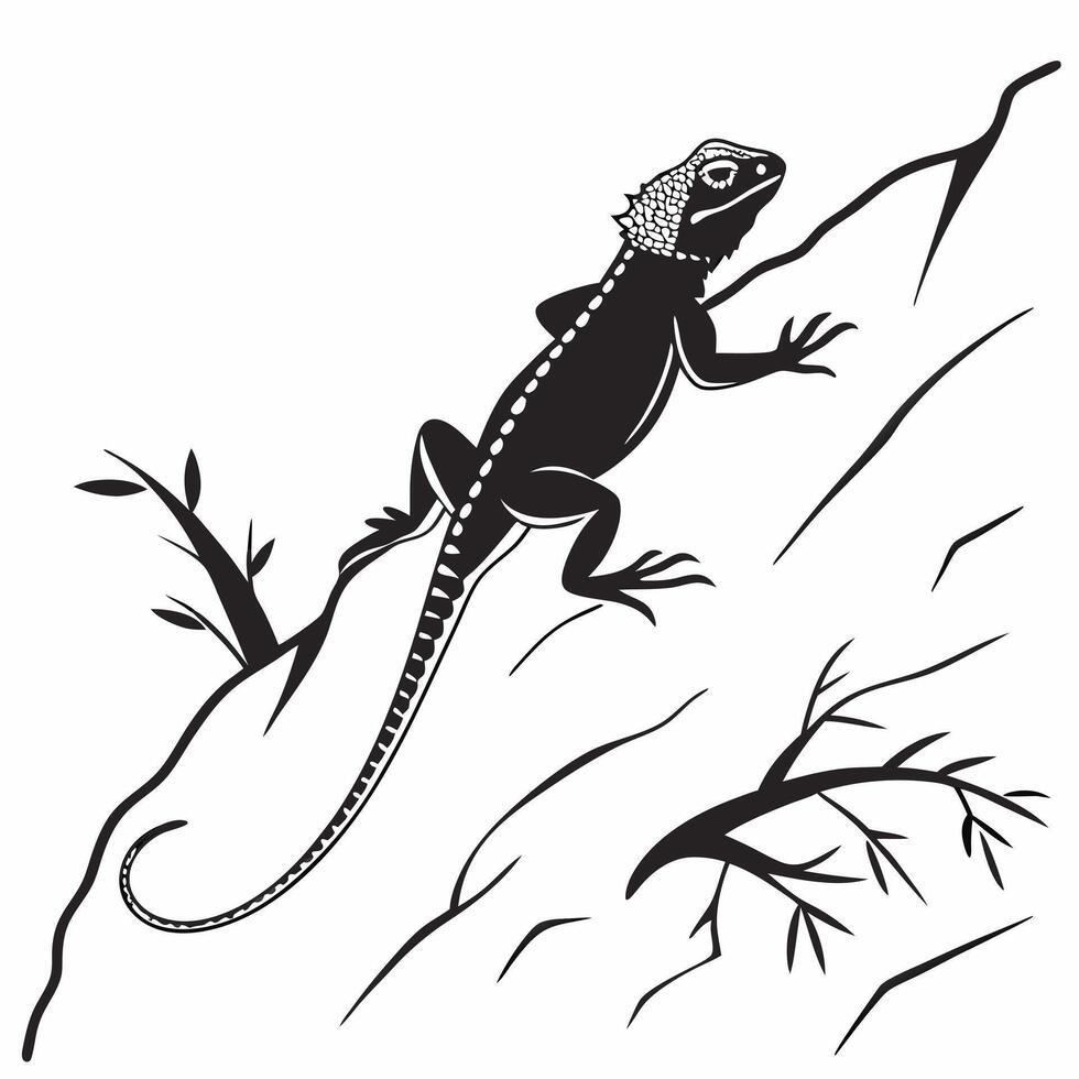 Black And White Lizard On Branch vector