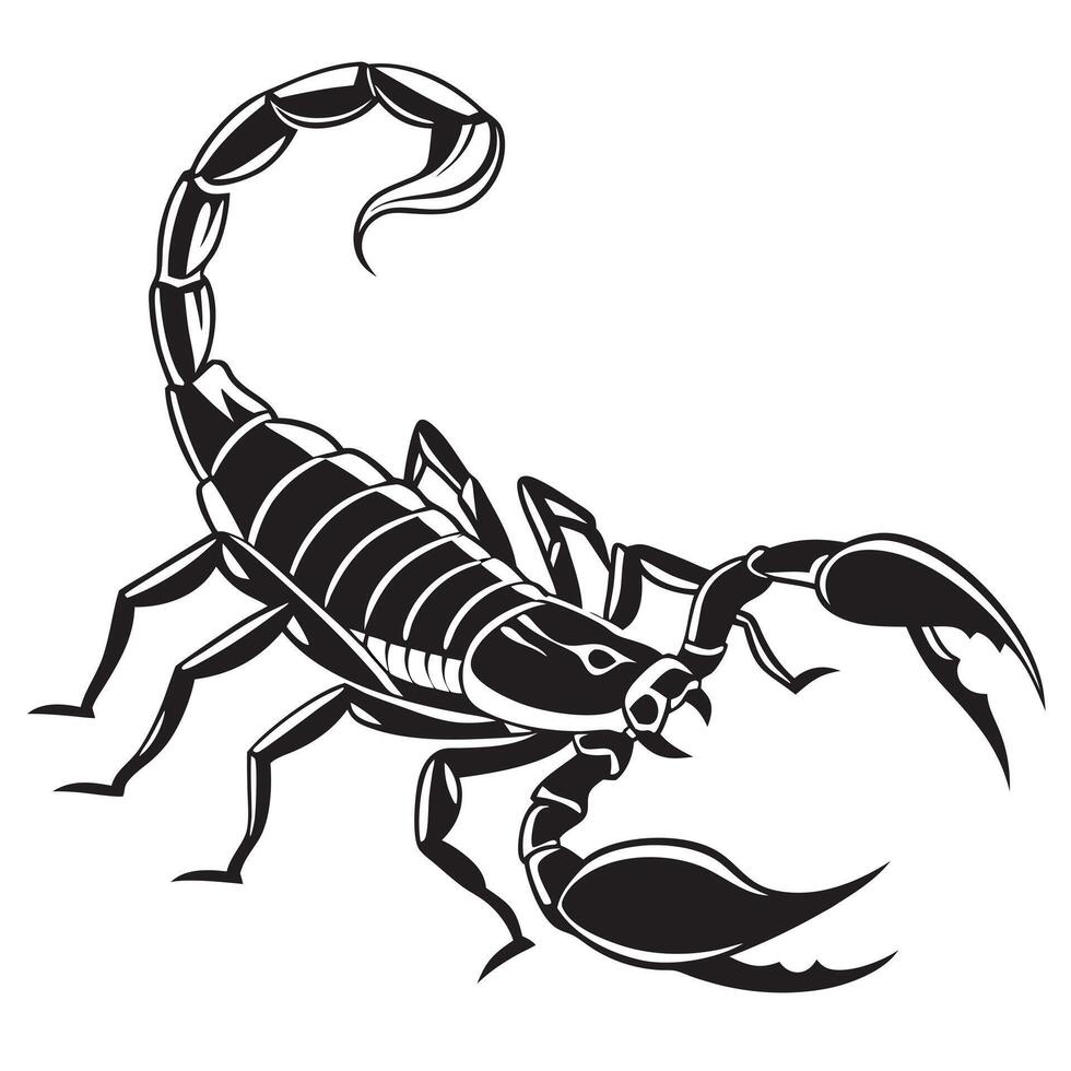 Black And White Scorpion Illustration vector