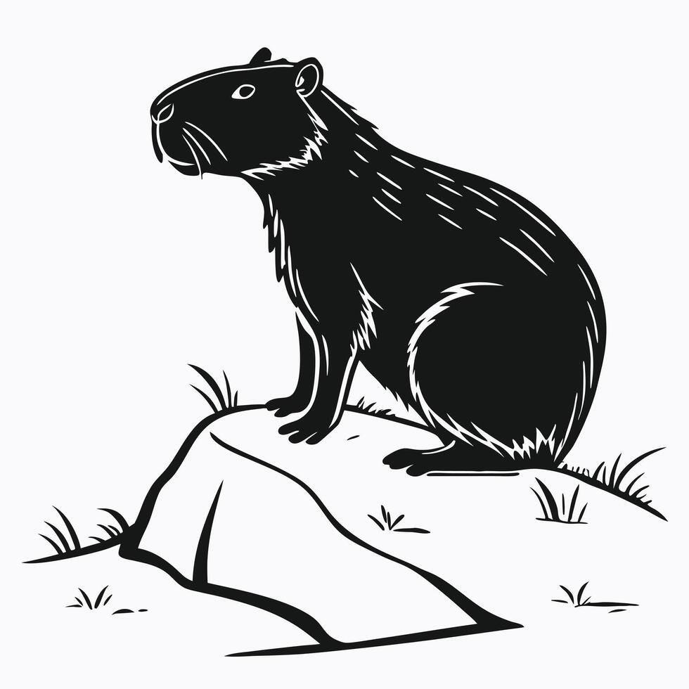 Black And White Capybara Illustration vector