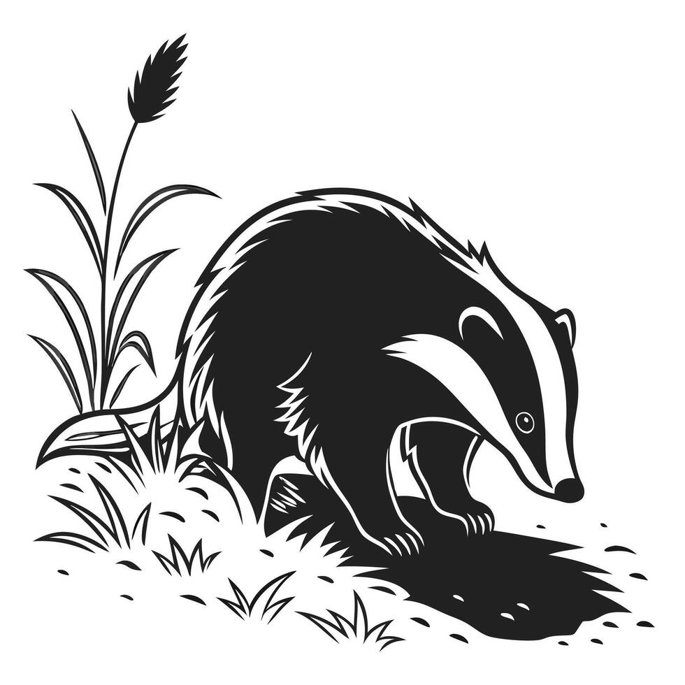 Badger In Grassy Field Black And White vector