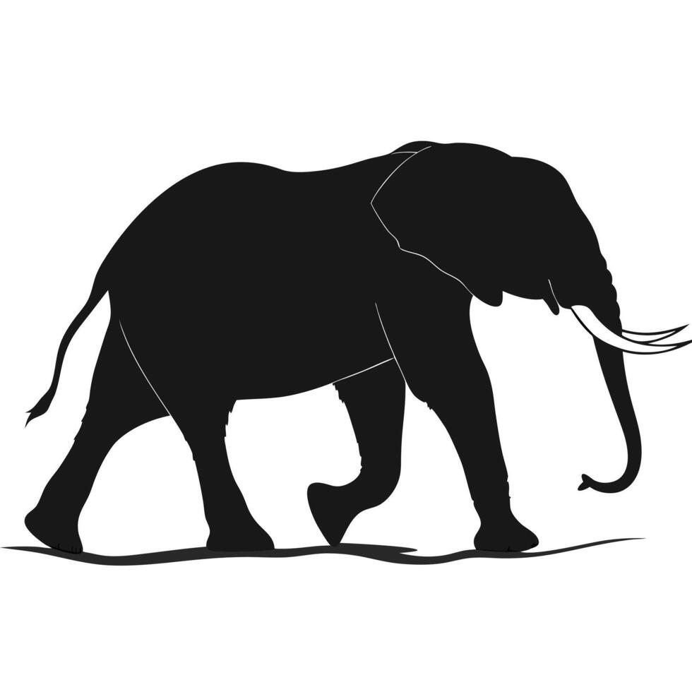 African Elephant Silhouette Isolated On White vector