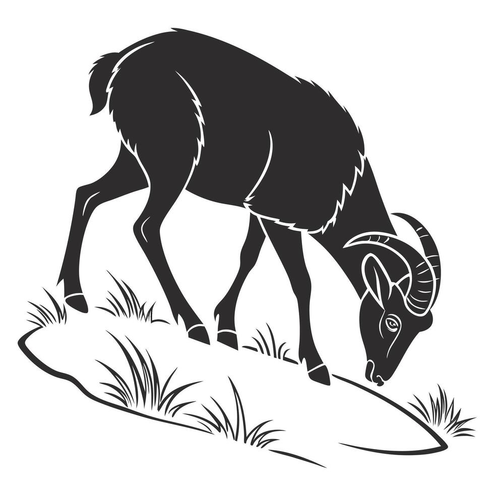 Bighorn Sheep Grazing Black Silhouette vector