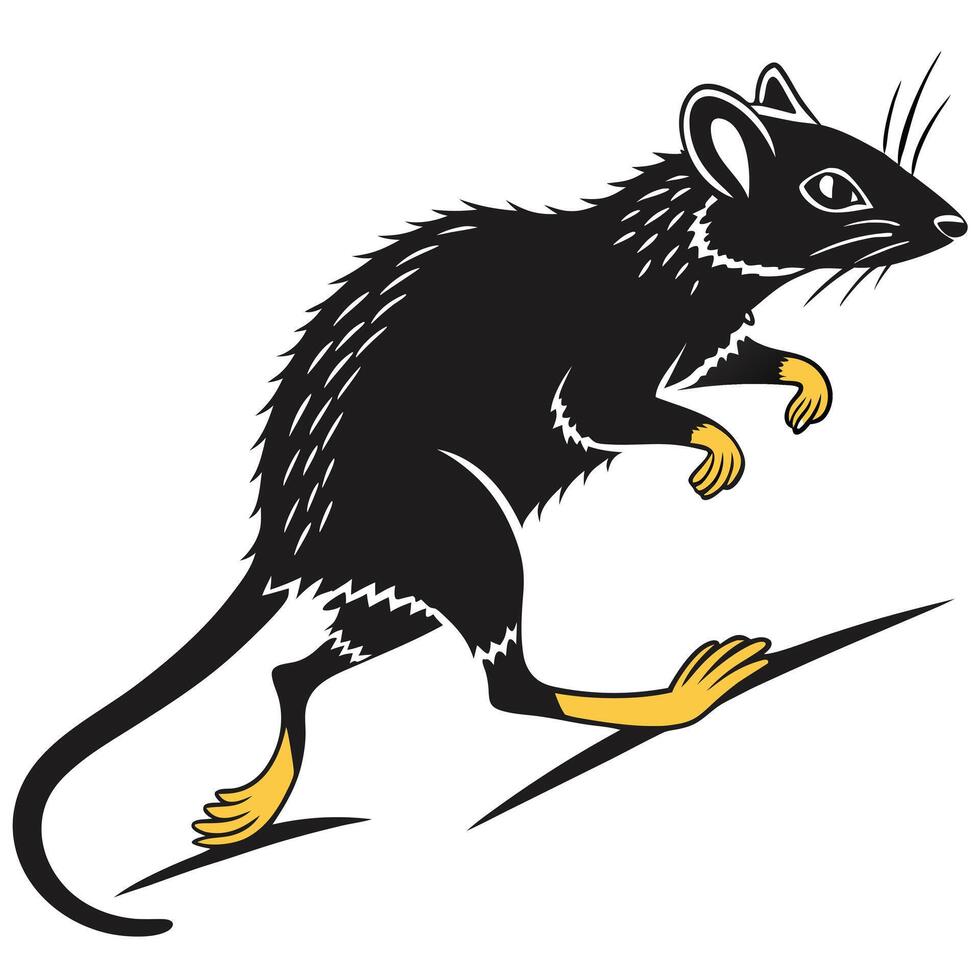 Black And Yellow Agile Antechinus Illustration vector