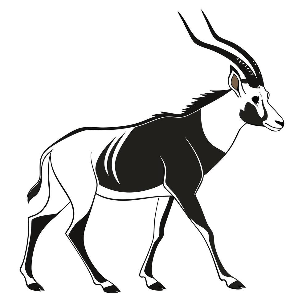 Scimitar Horned Oryx Black And White vector