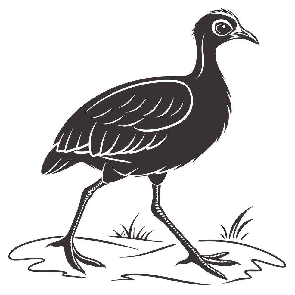 Elegant Black Courser Bird Design vector