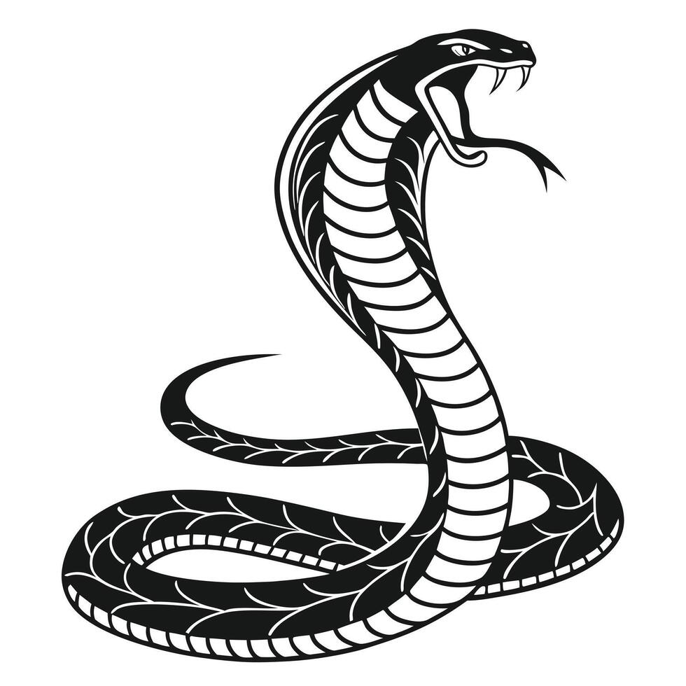 Cobra Snake Stylized Black And White vector