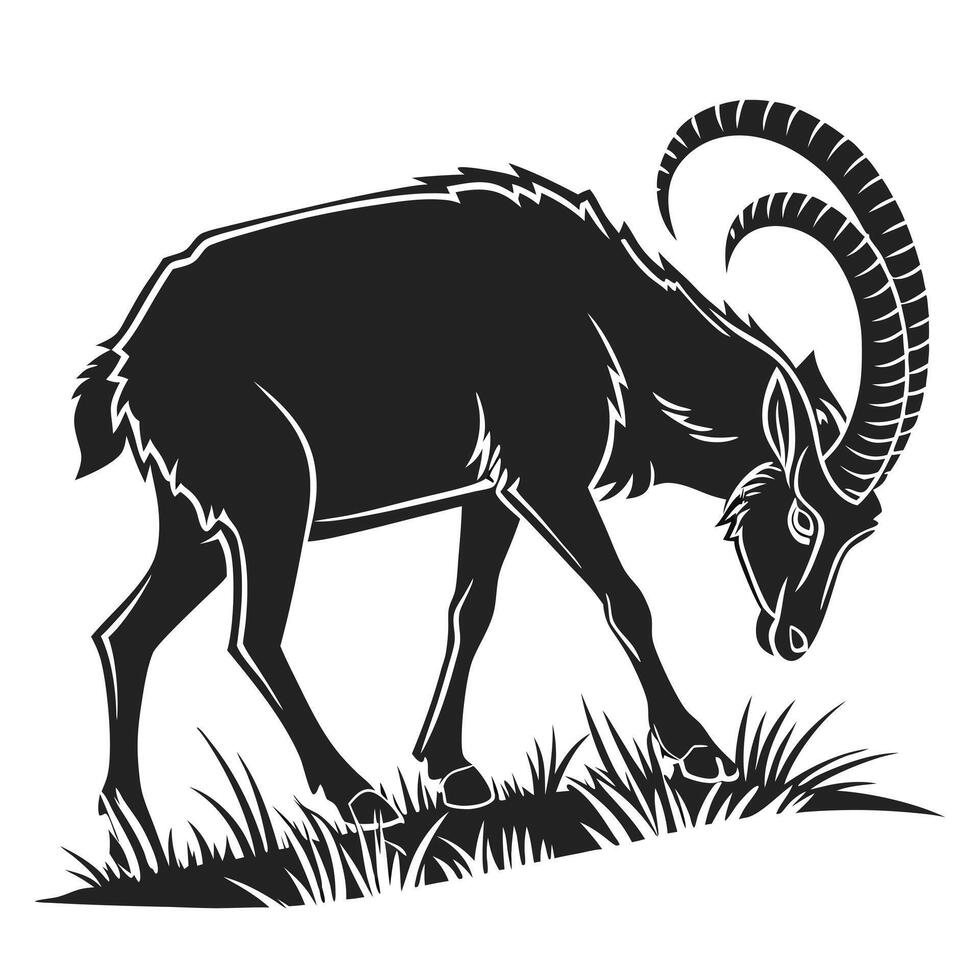 Ibex Grazing Silhouette Wildlife Illustration vector