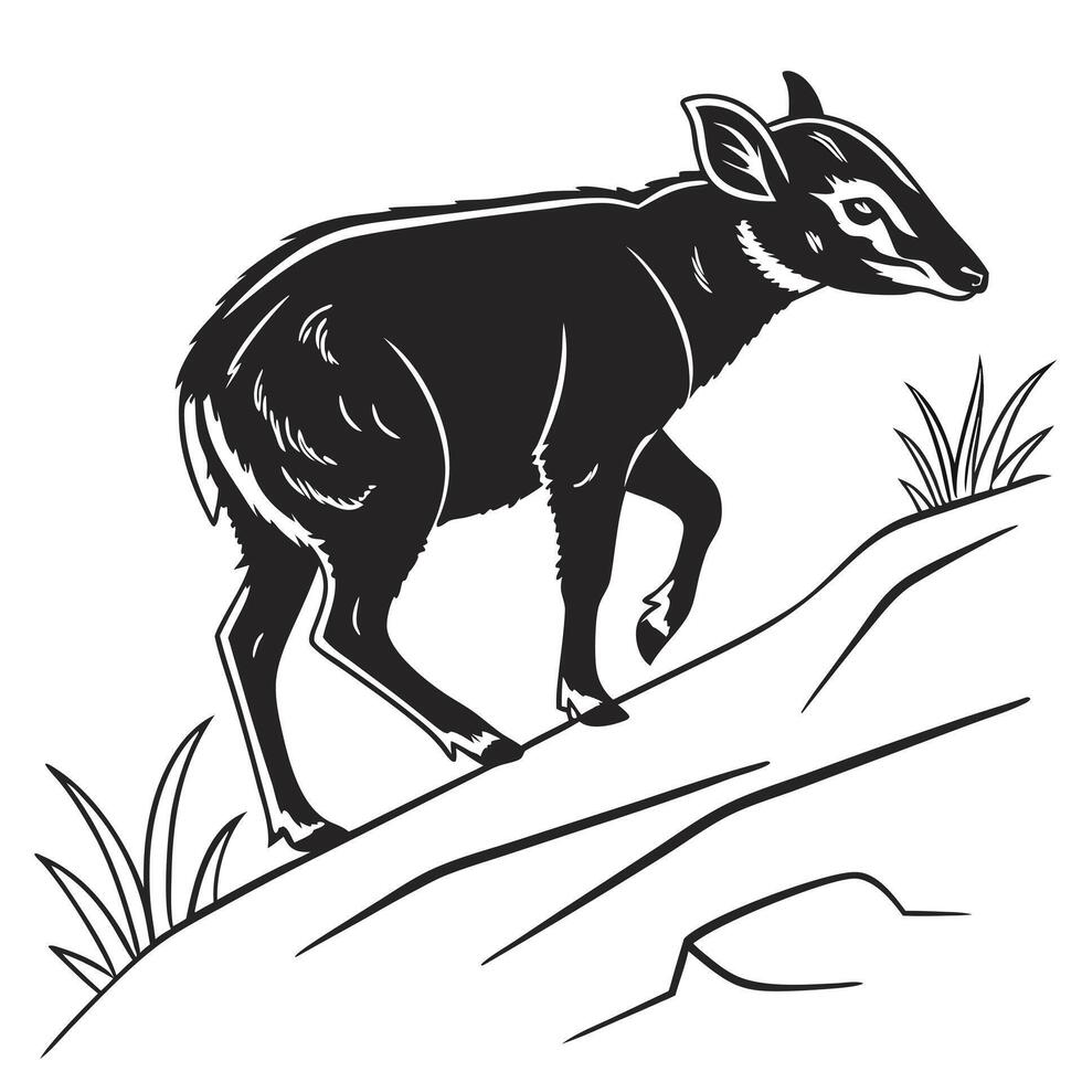 Black Duiker Illustration Walking On Hill vector