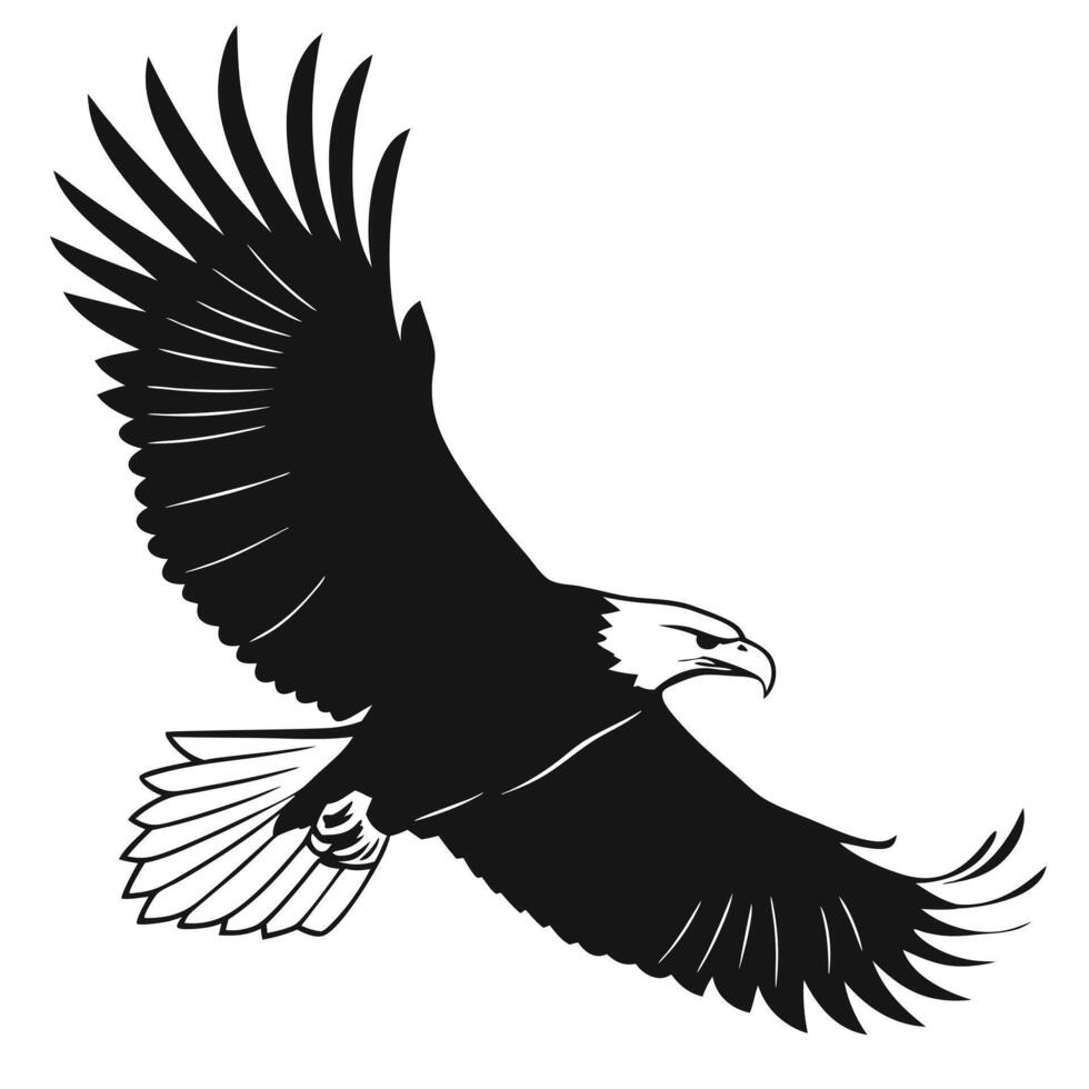 Flying American Bald Eagle Illustration vector