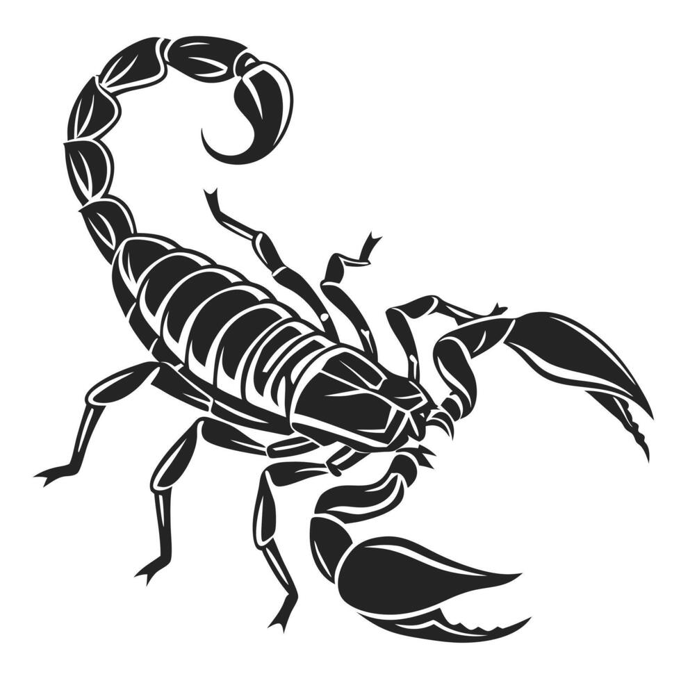 Scorpion Illustration Black And White Graphic vector