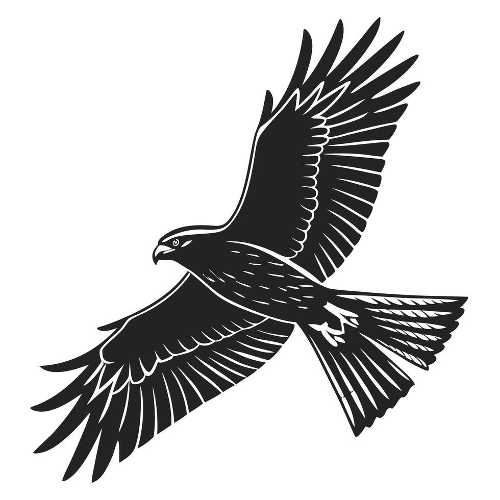 Black Eagle Soars With Spread Wings vector