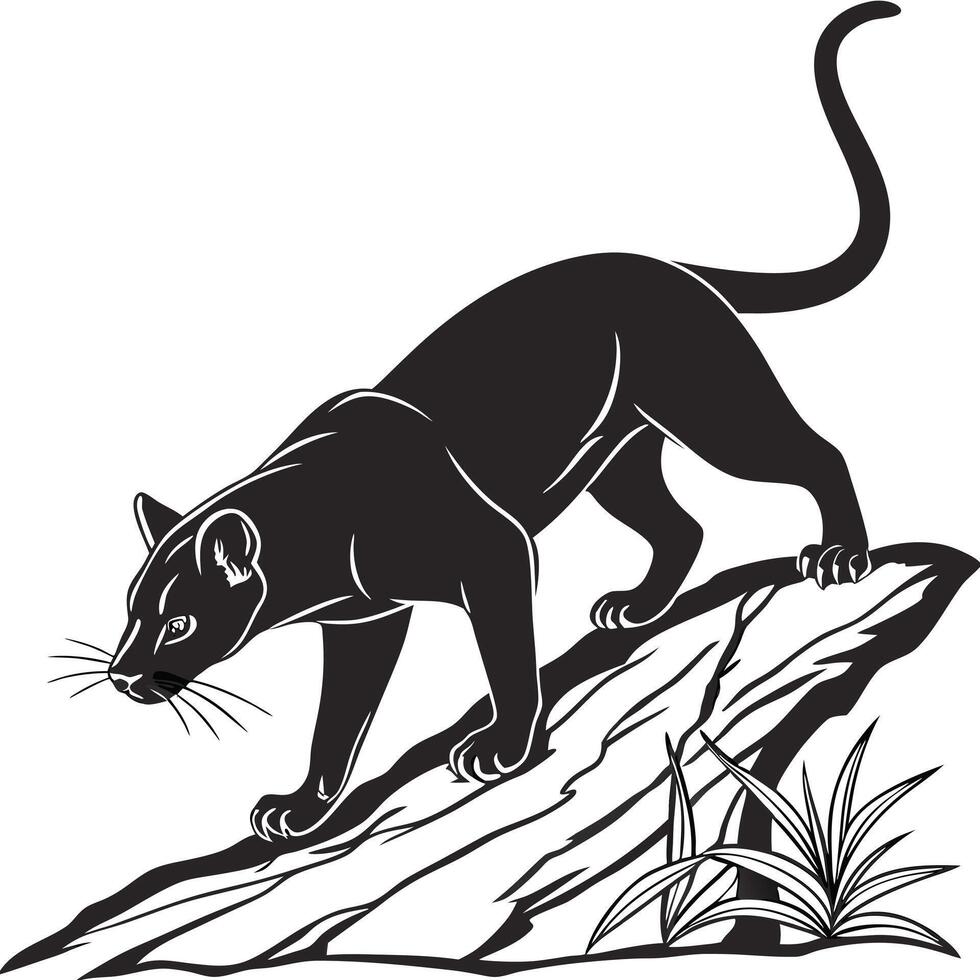 Black Panther Climbs On Rock vector