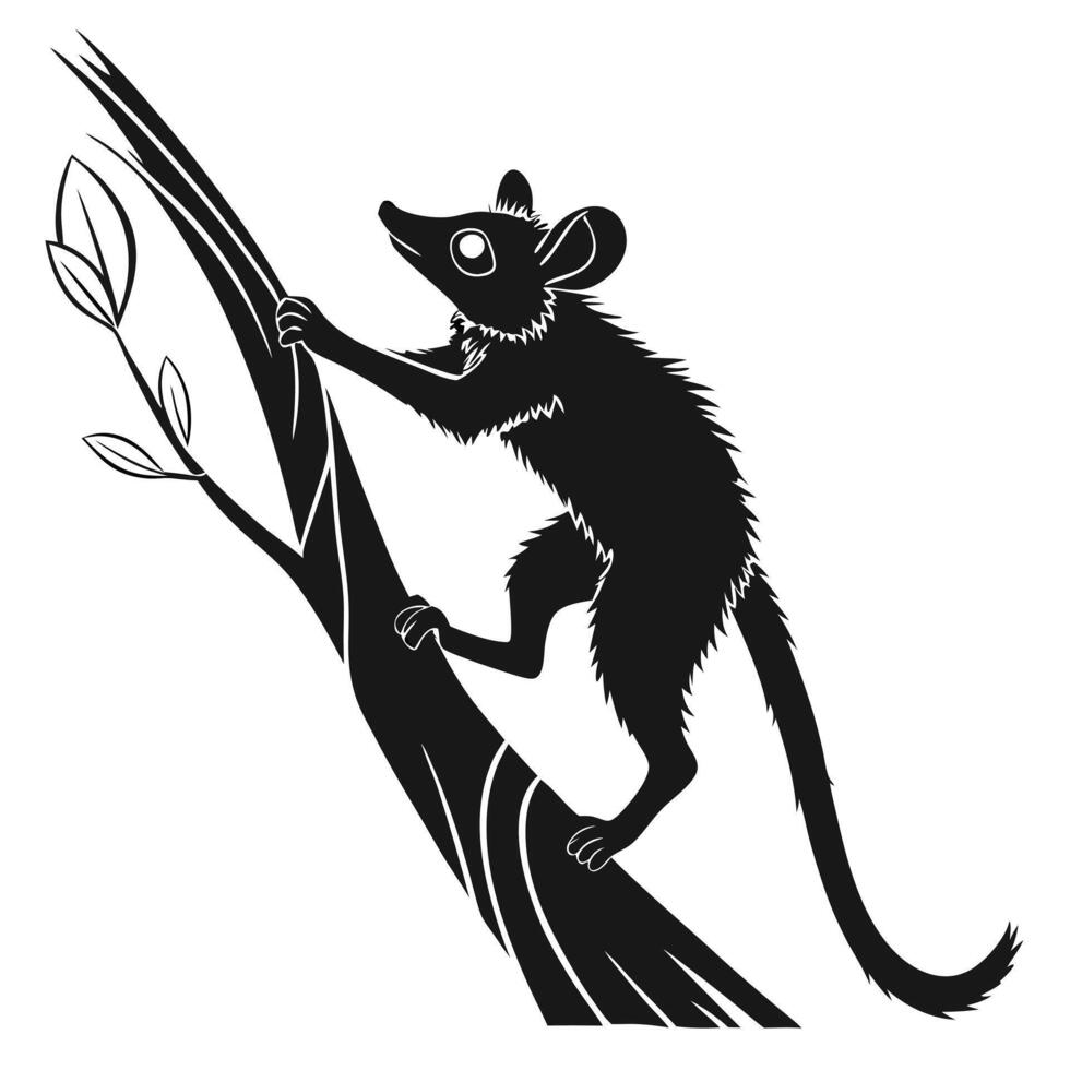 Possum Climbing Tree Black Silhouette vector