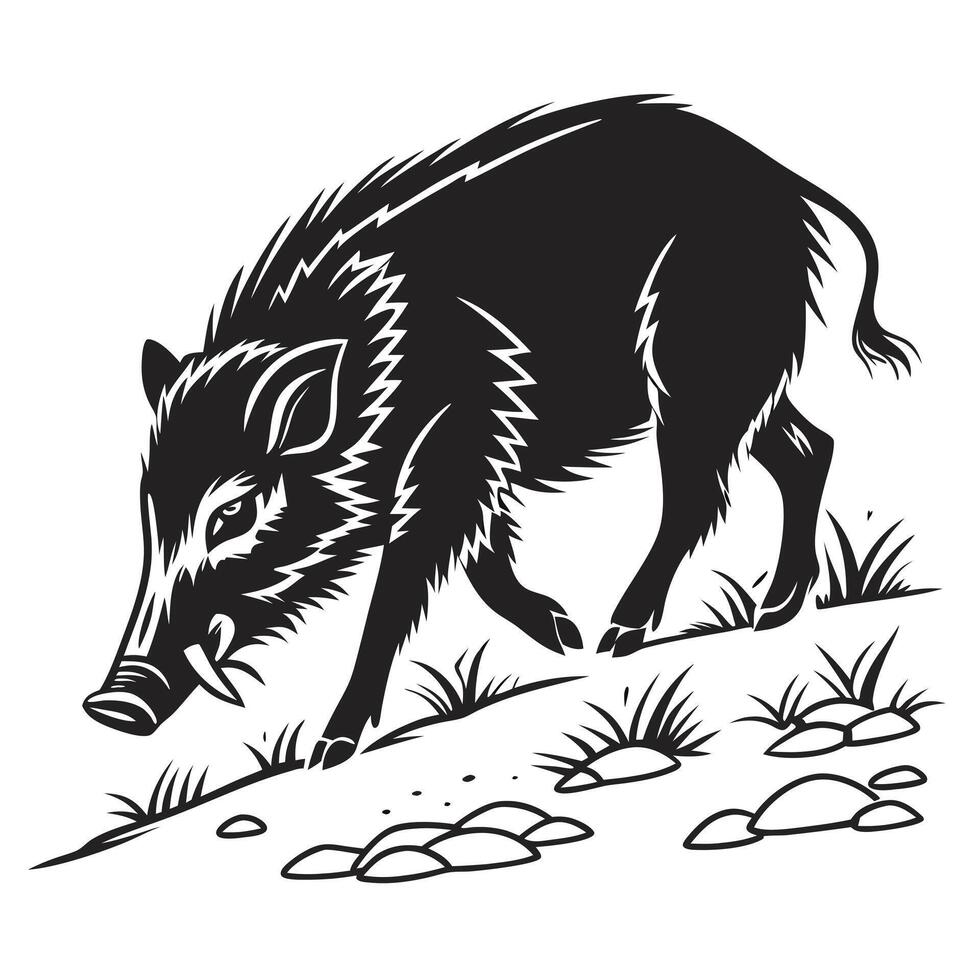 Boar Walking On Grass Illustration vector