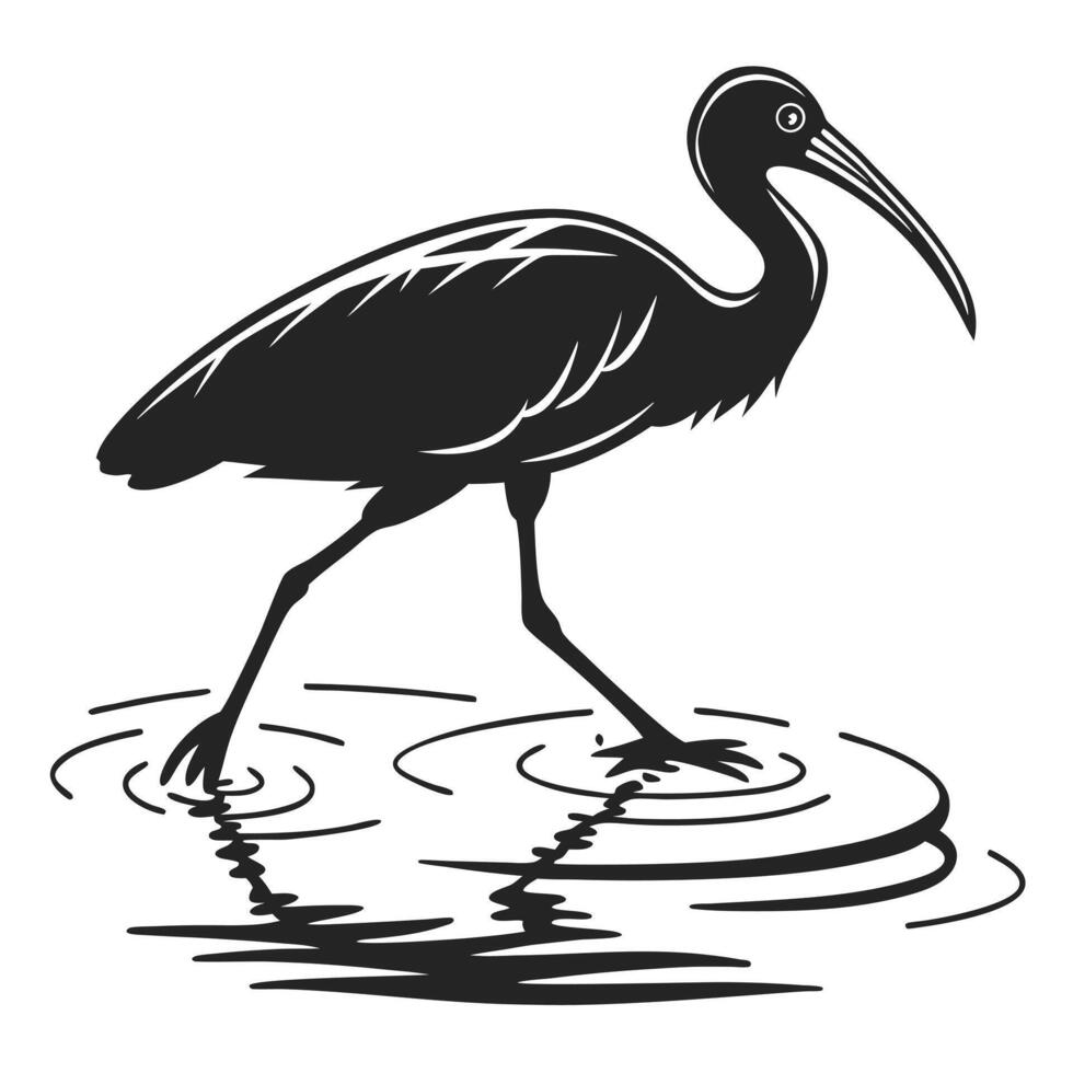 Glossy Ibis Wading In Water Silhouette vector