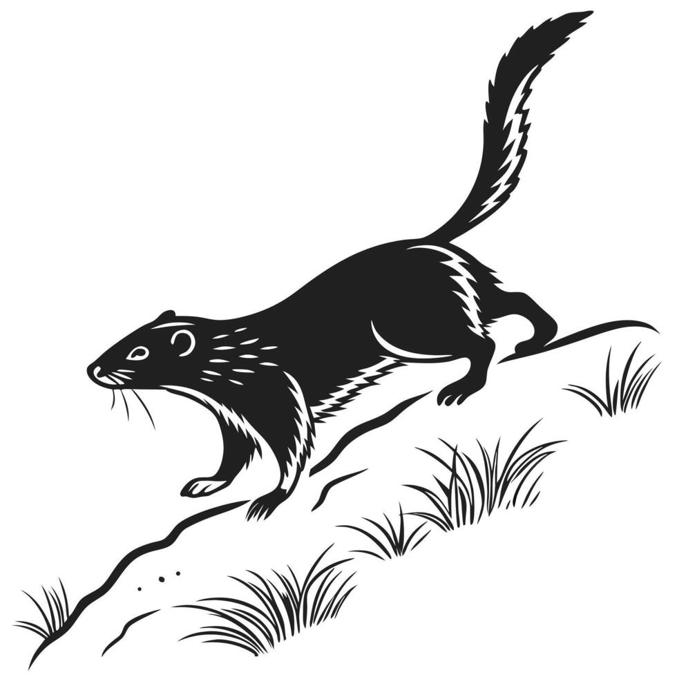 Black Skunk Walking On Grassy Hill vector